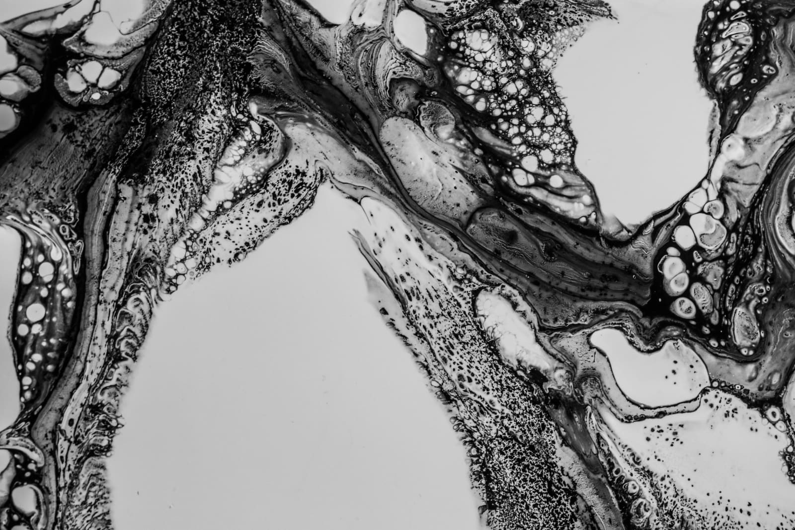 Priya Fry, Untitled, 2011