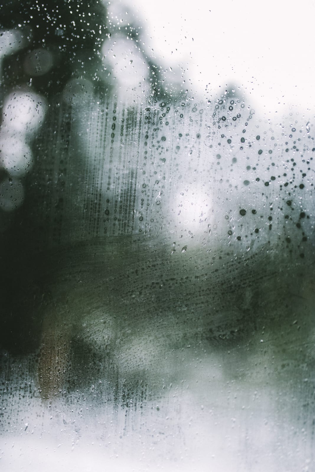 Felix Walters, Untitled, 2003-2004