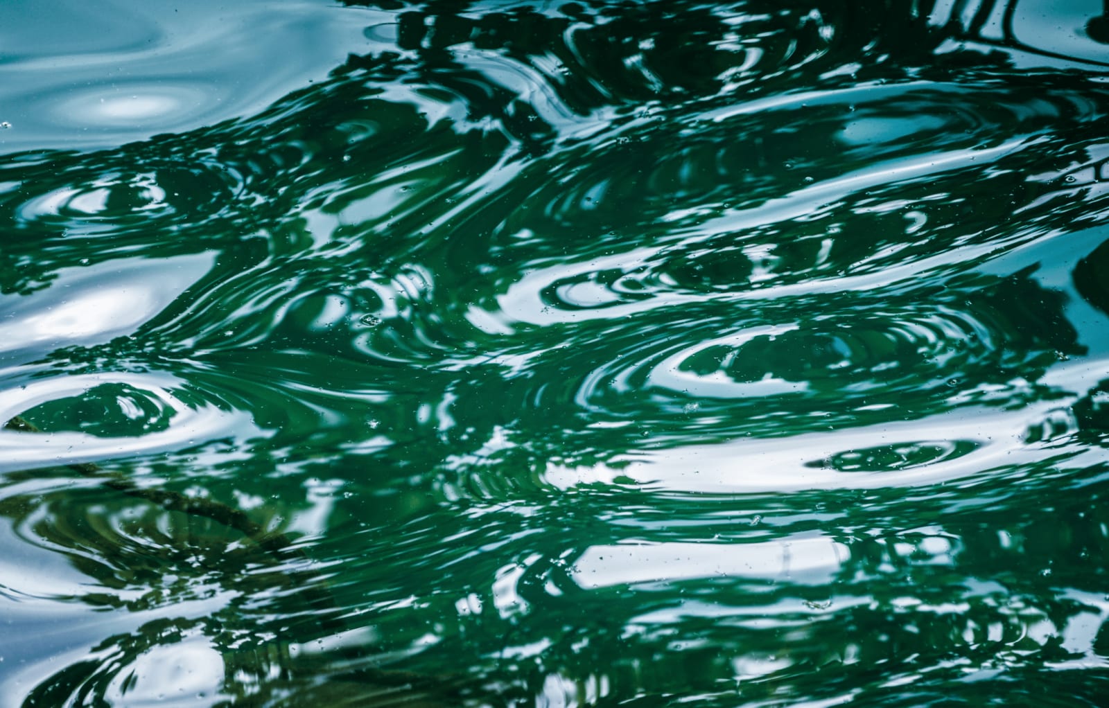 Malik Morris, Untitled, 2009