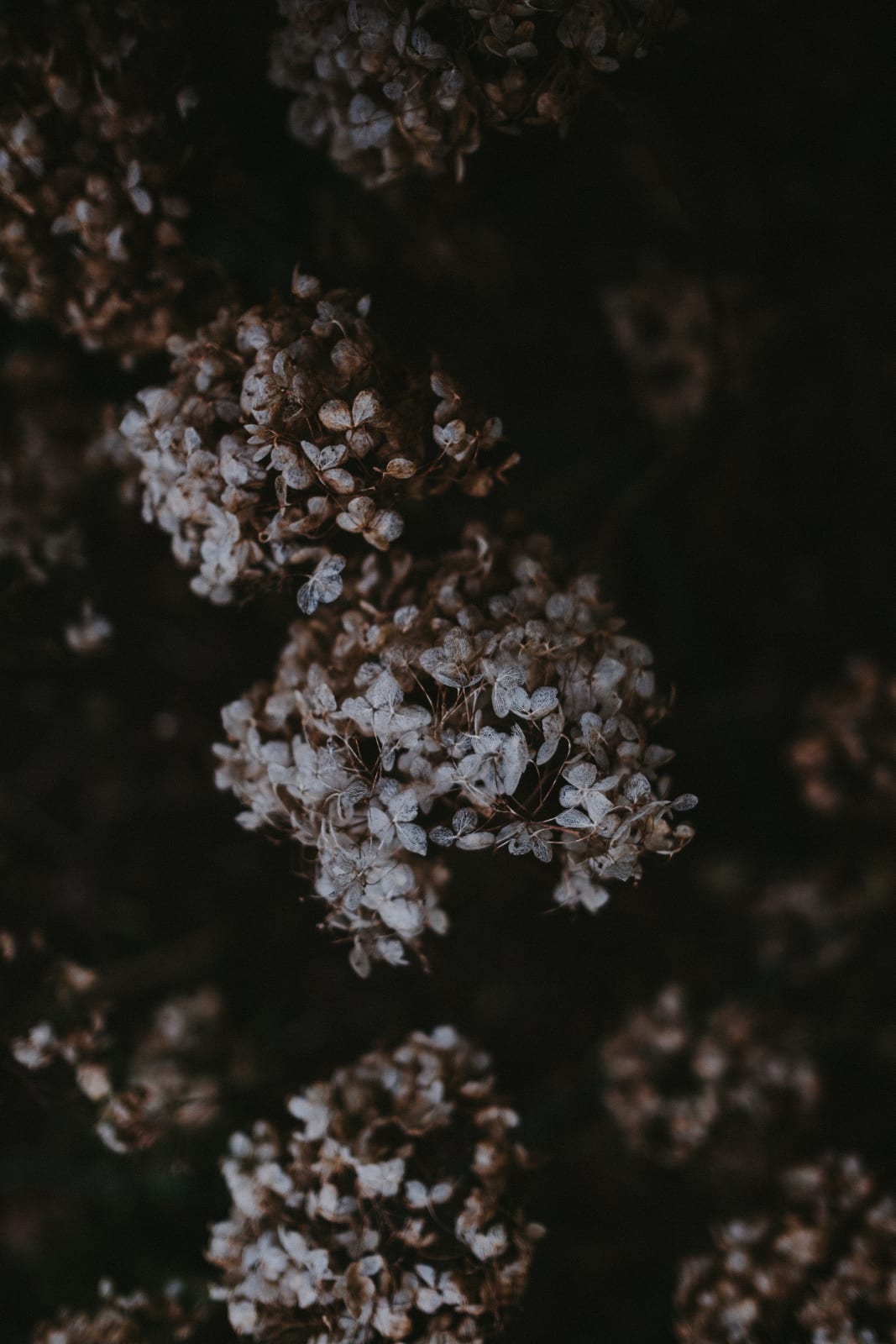 Katrina Forrest, Untitled, 2013