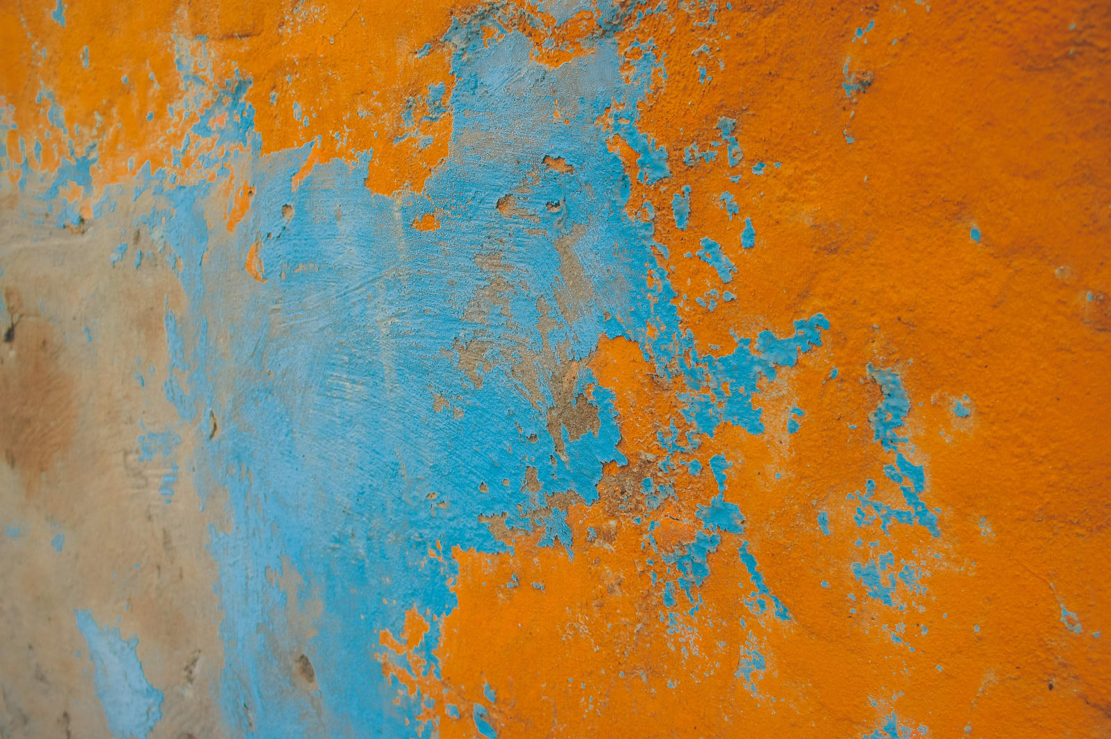 Elsie-Rose Farrow, Untitled, 2003