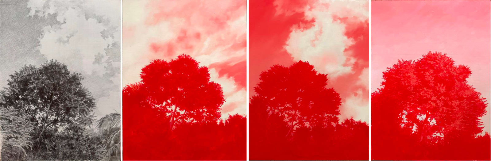 Nivedita Shinde, Temporal Landscape_04, 2024