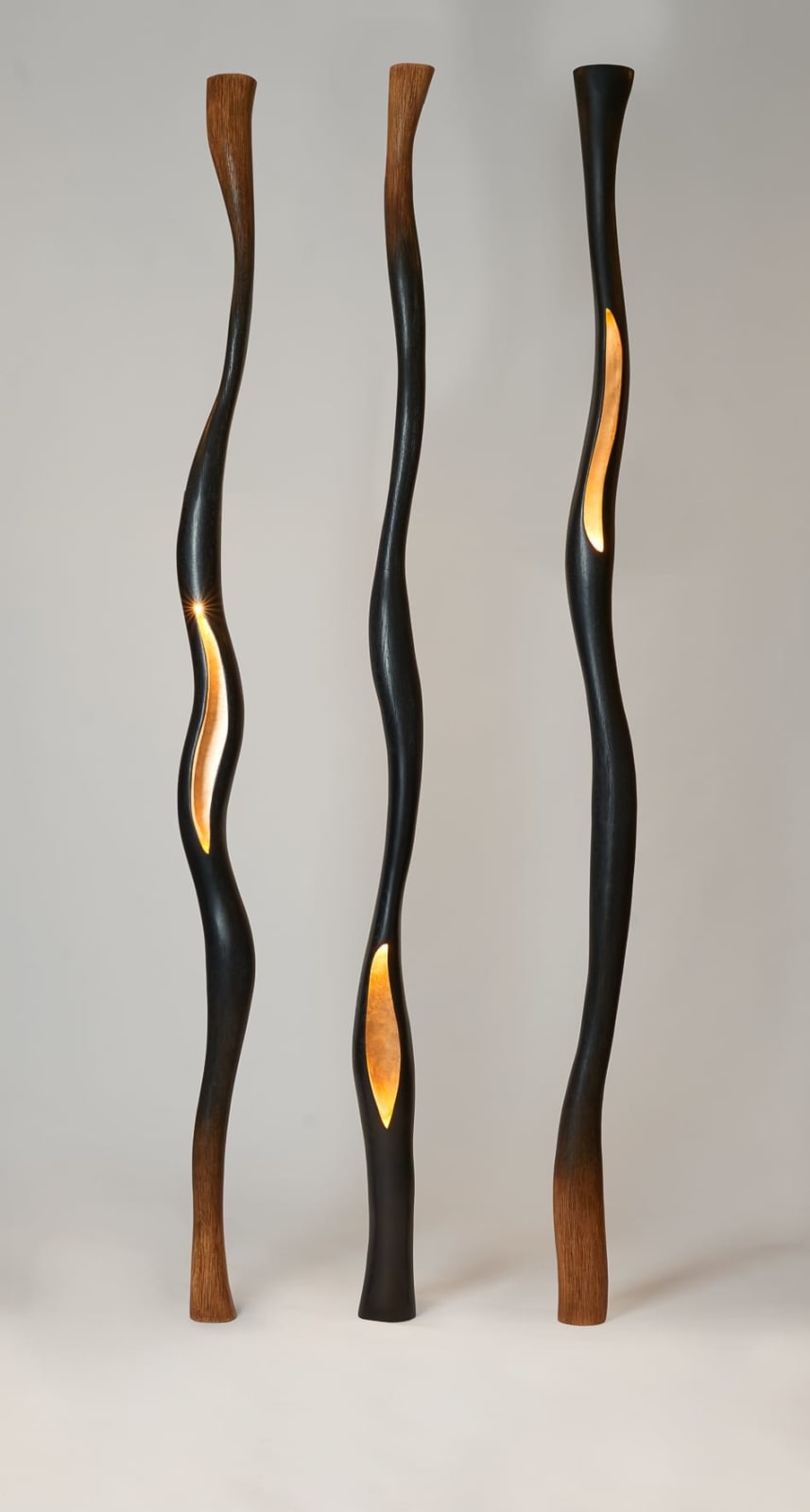 Hoon MOREAU, Lianes lumineuses (Lianas) Nº4, 2021