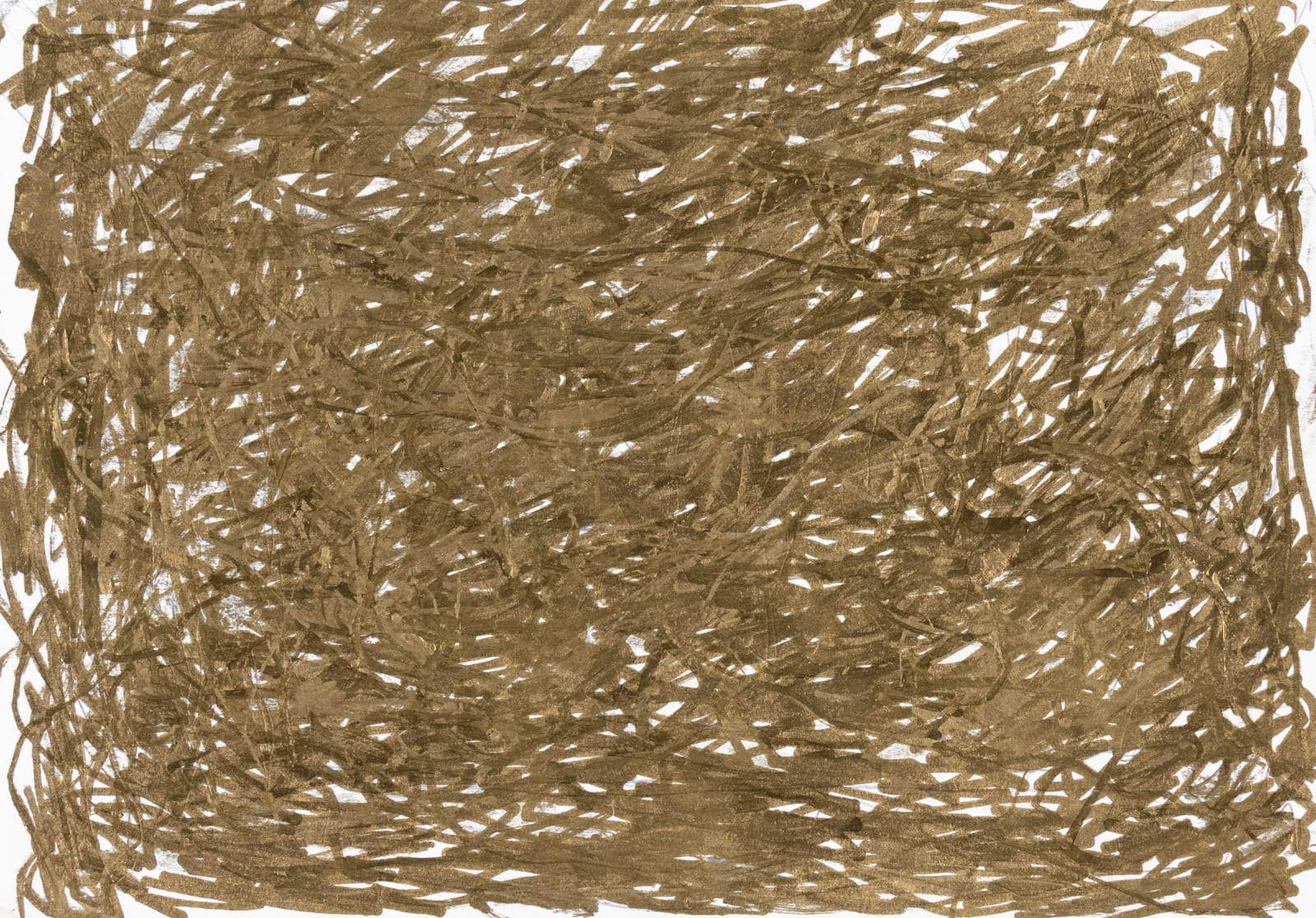 Sam Filicky, Untitled, 2024