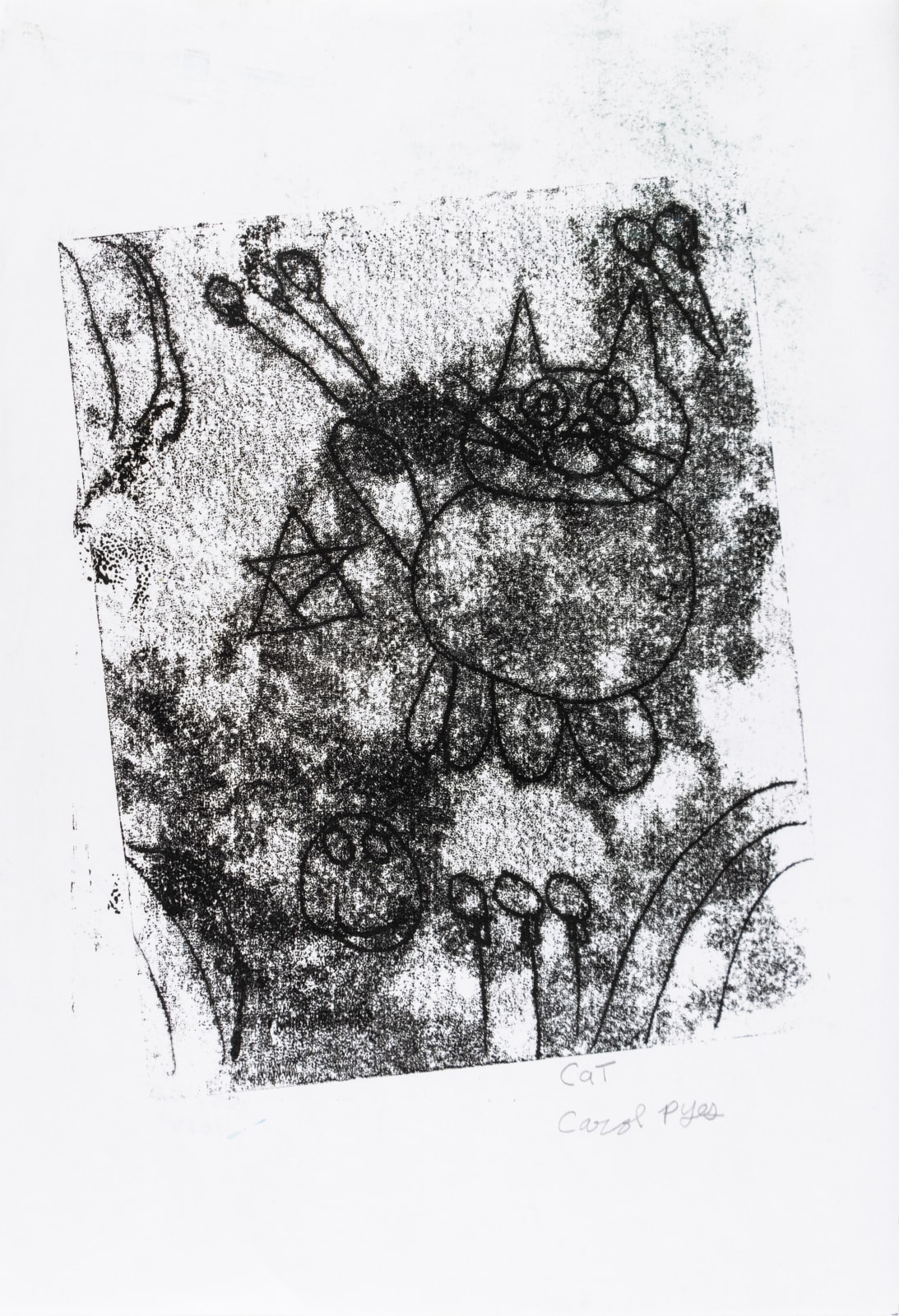 Carol Pyes, Cat, 2023