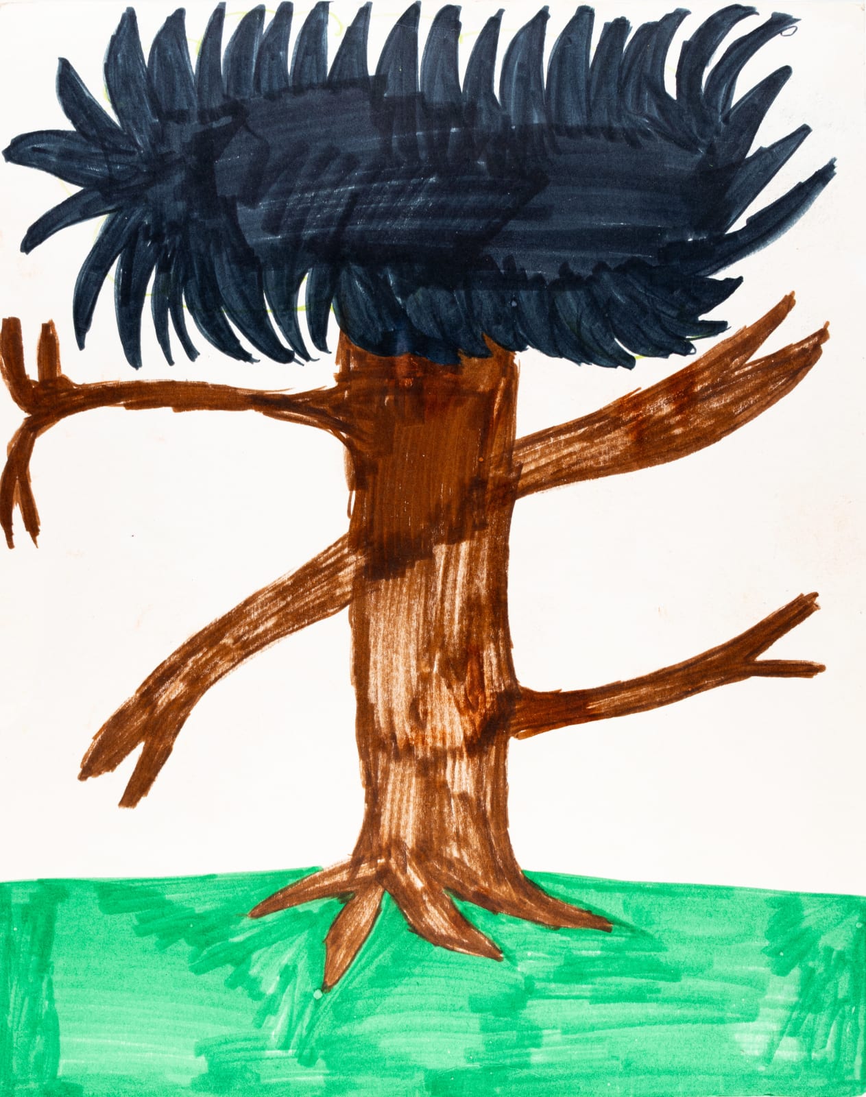Isamu Guy Conners, Untitled (Spiky Tree), n.d.