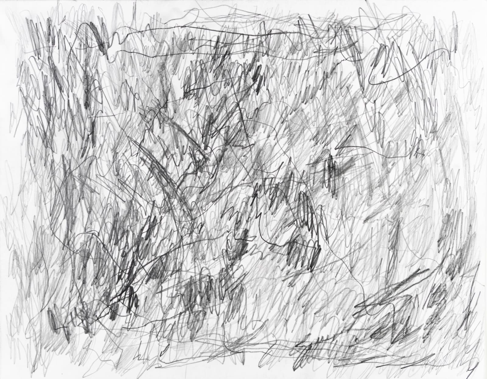 Sam Filicky, Graphite #3A, 2024