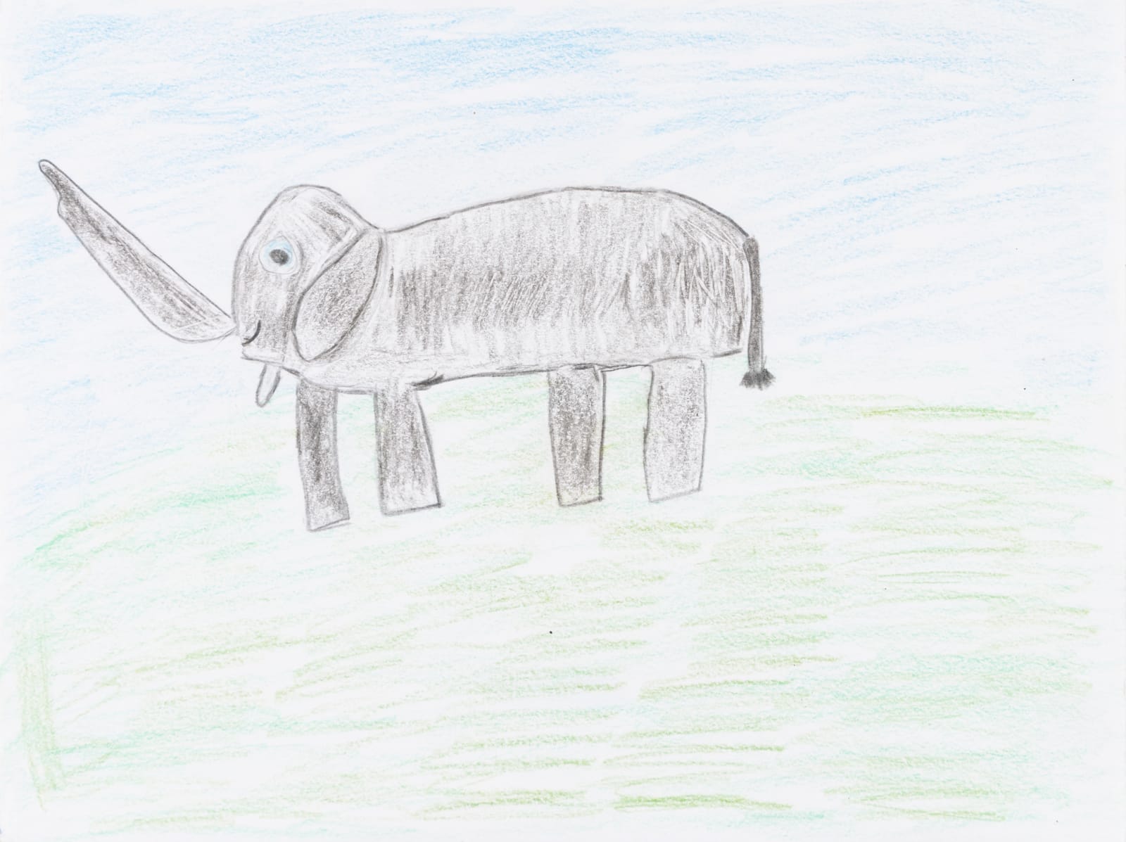 Carol Pyes, Elephant, 2020