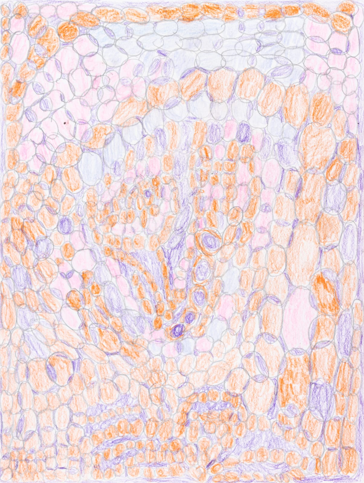 Lucy Walsh, Mad Hatter, 2025