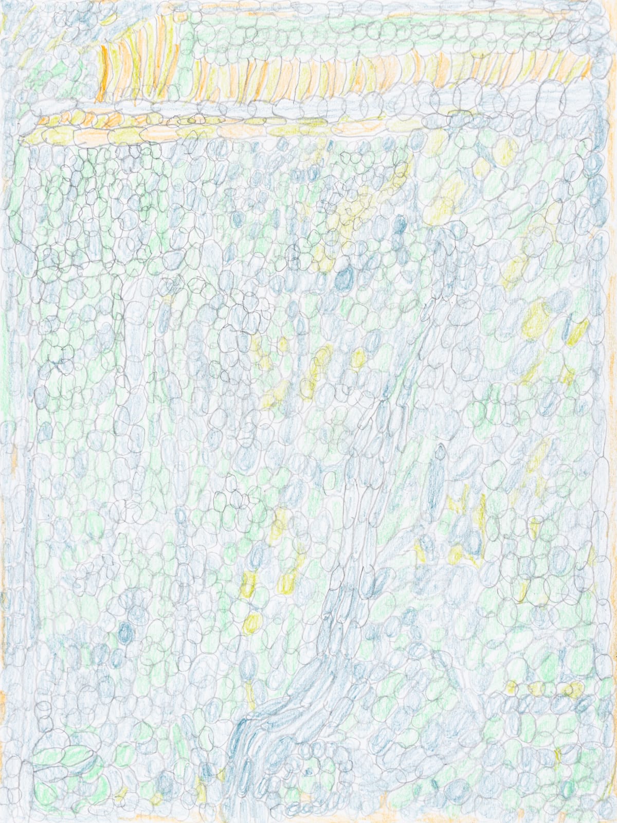 Lucy Walsh, Poison Ivy, 2025