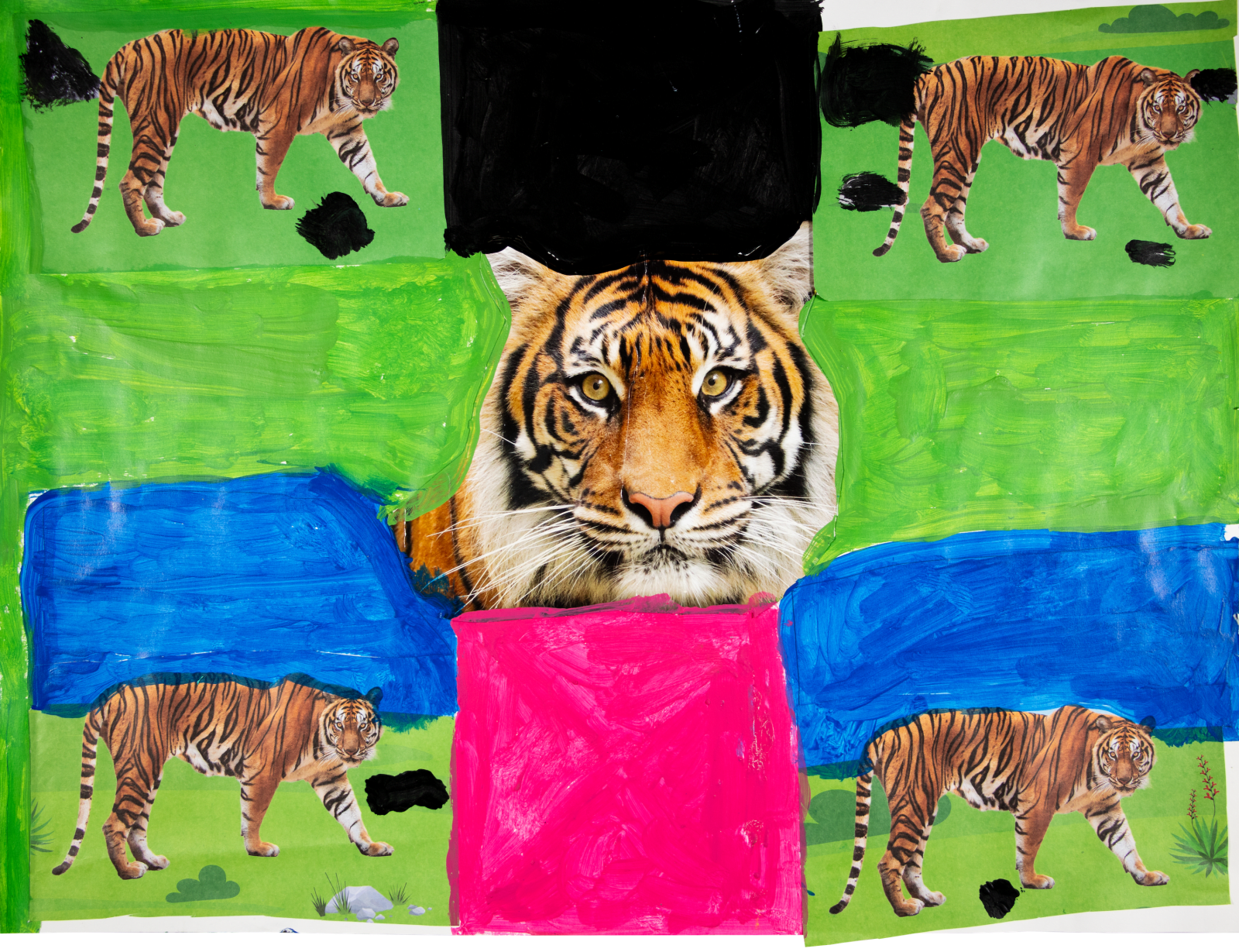 Jean Wilson, The Tiger, 2023