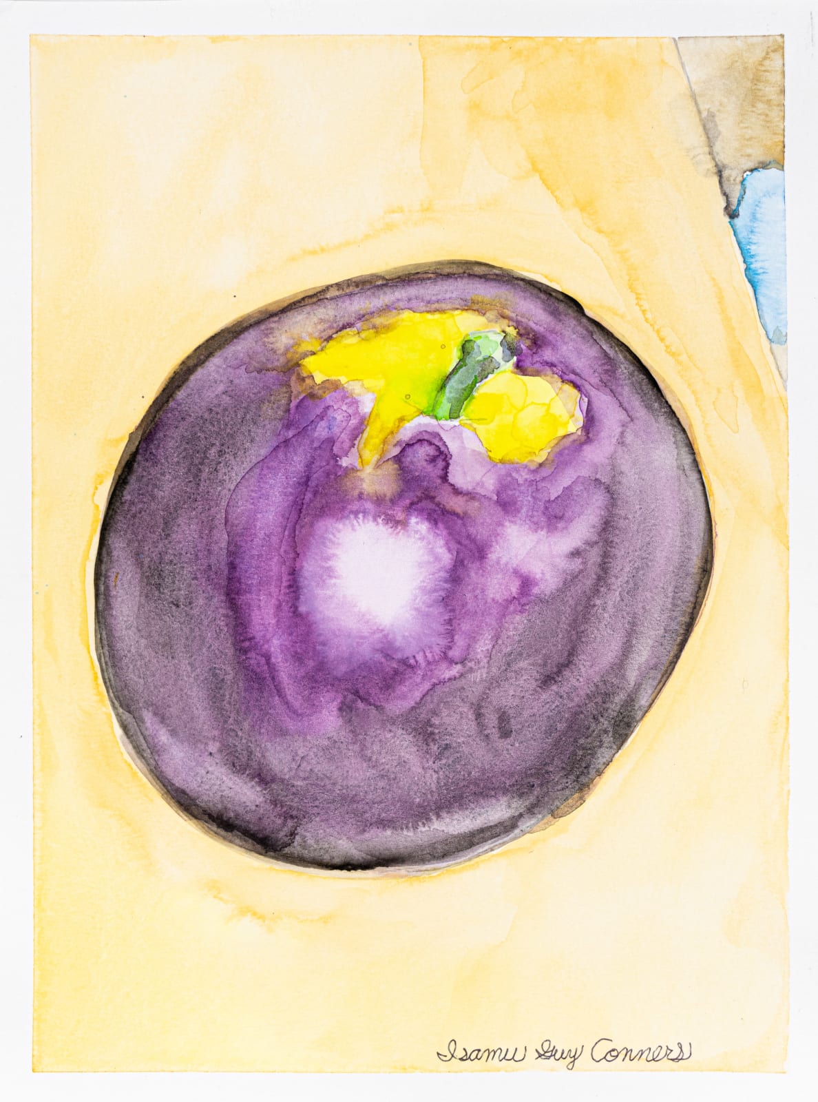 Isamu Guy Conners, Arkansas Black Apple, 2023
