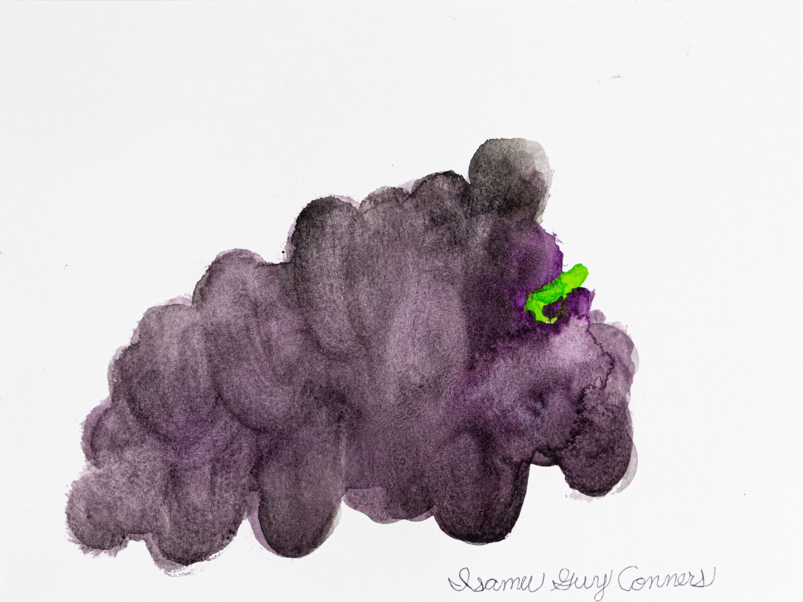 Isamu Guy Conners, Black Grapes, 2023