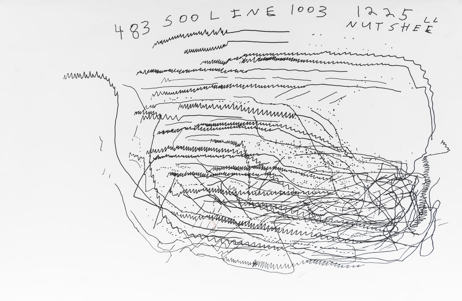 Ted Hamel, 483 500 Line, 2021