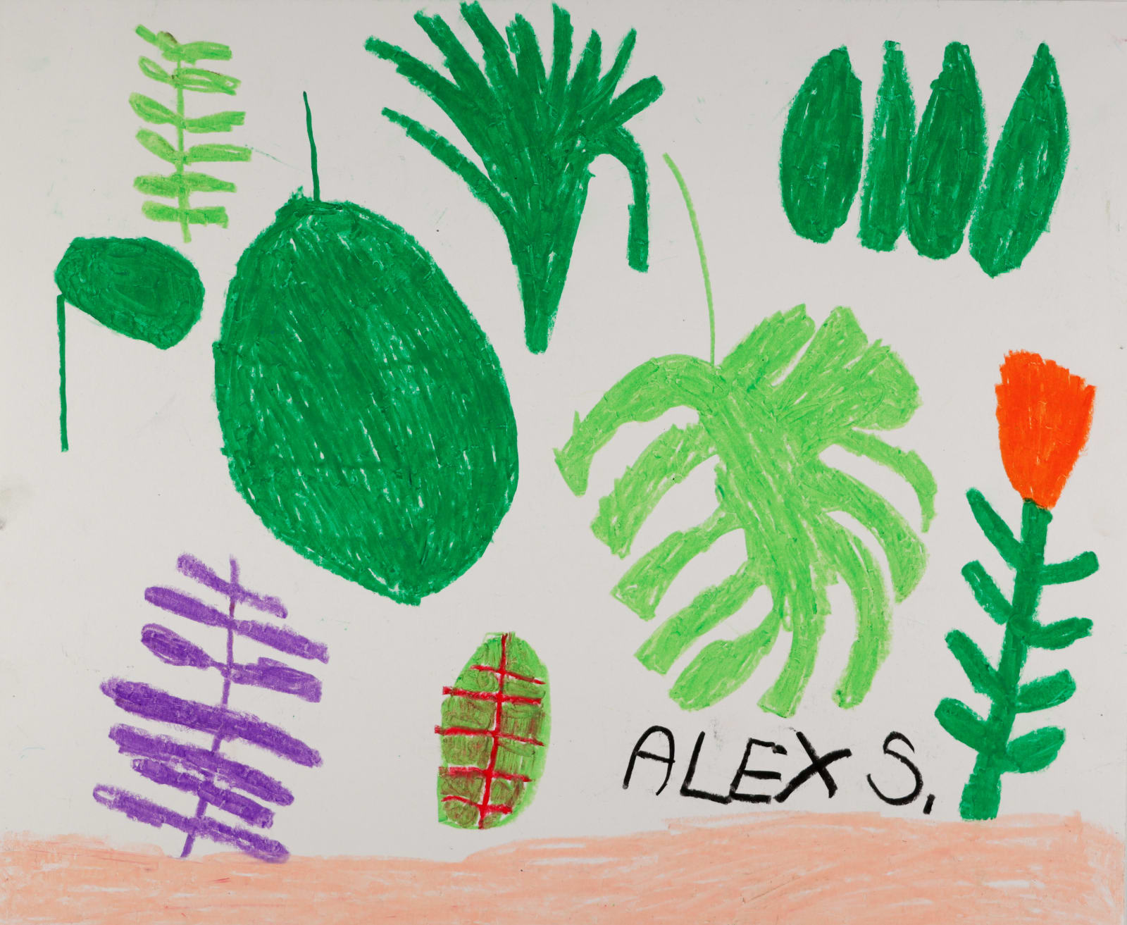 Alex Scott, Plant Leaves, 2019
