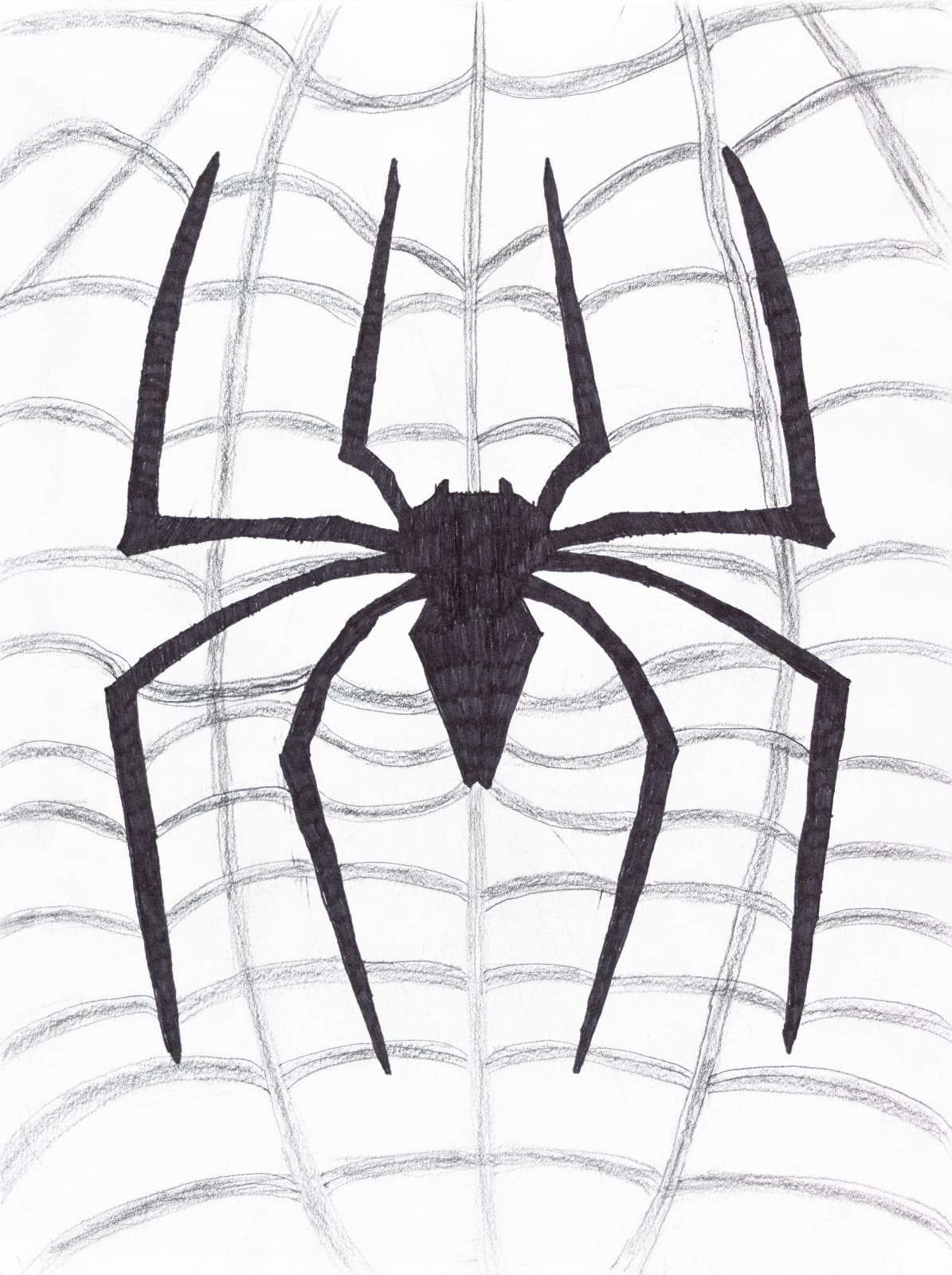 Marcelo Añón, Widescreen Special Edition Spider-Man 2002 15th Anniversary, 2021