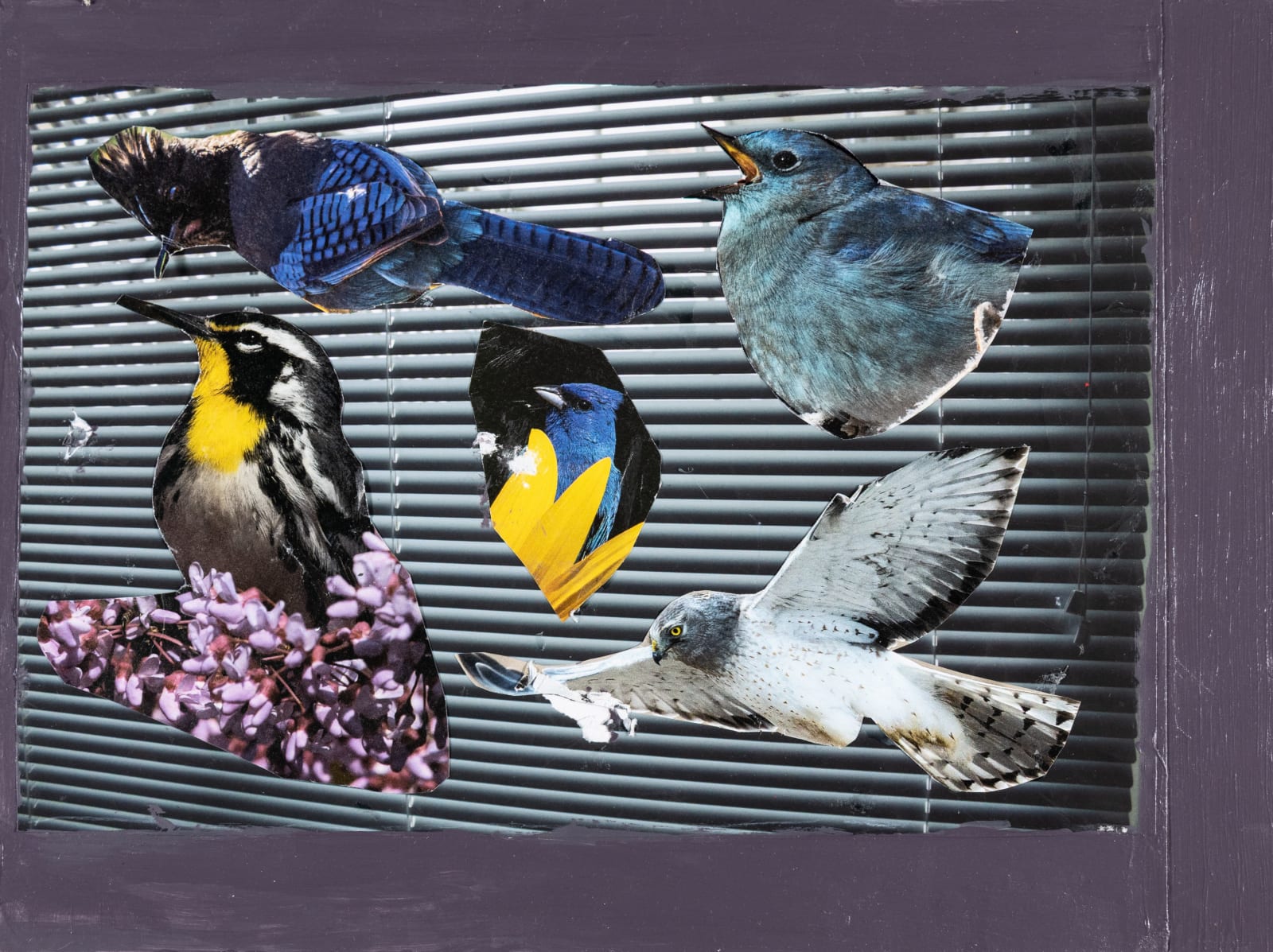 Stefan Harhaj, Birds, 2025