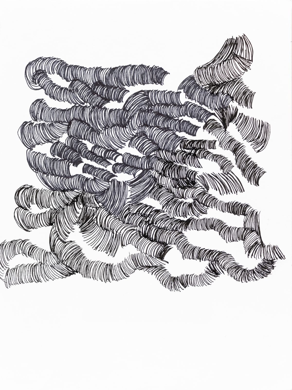 Marcelo Añón, Hair, 2019
