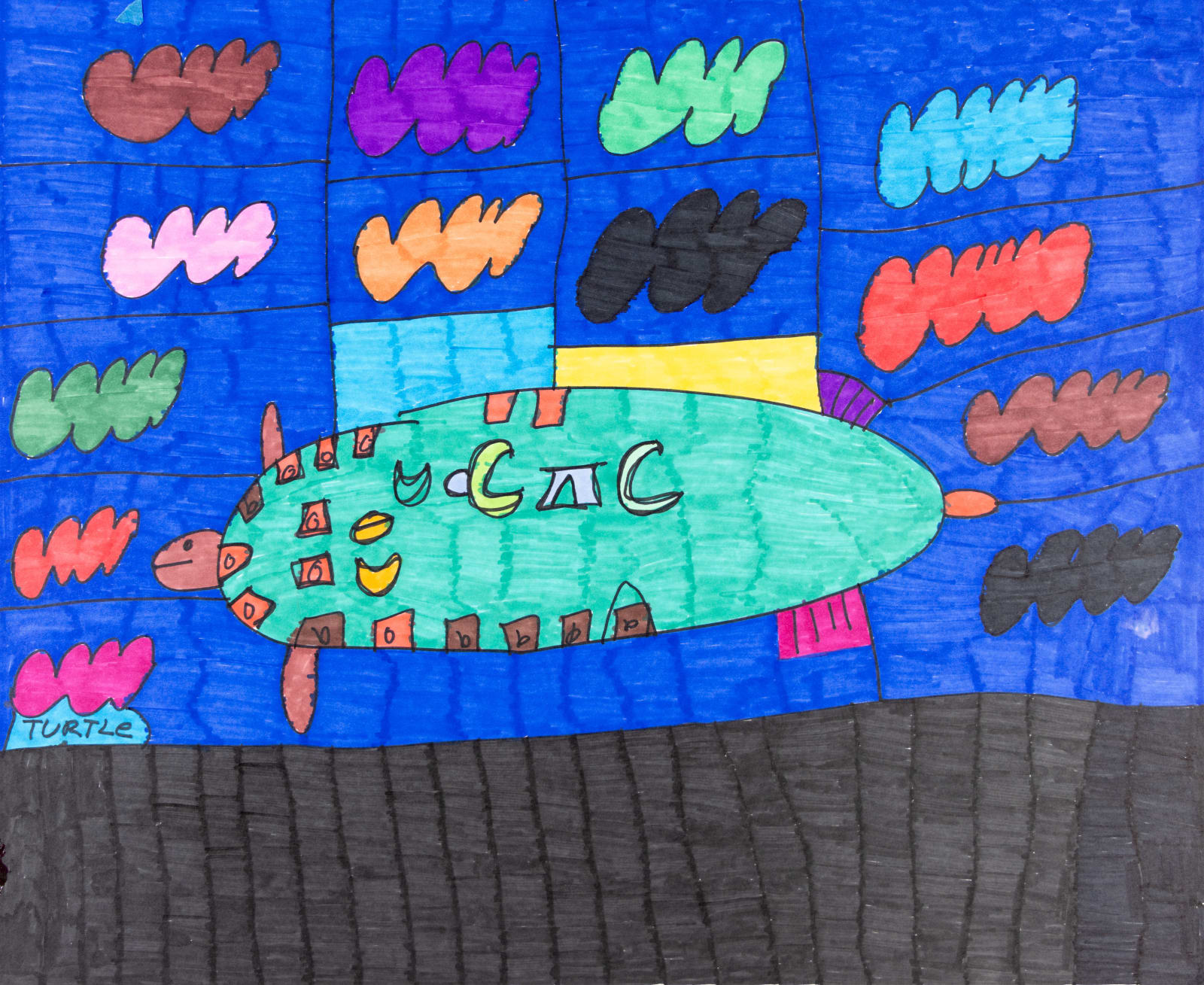 Maria Vanik, Turtle Rainbow , 2022