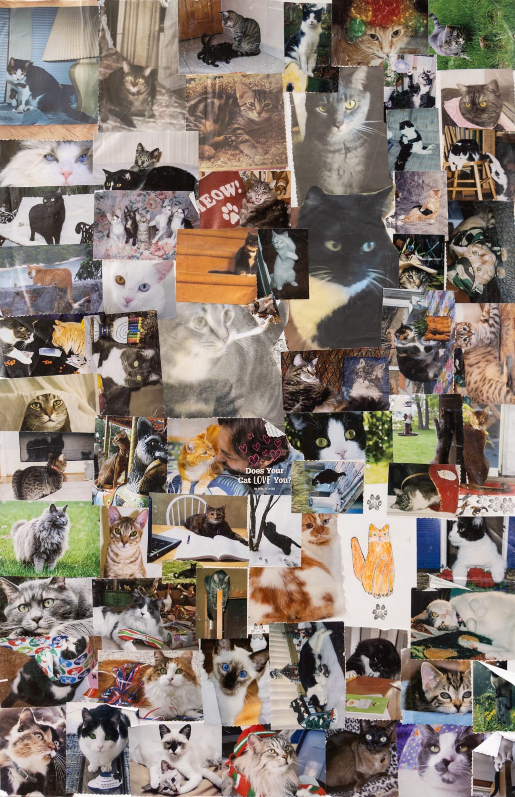 Carol Pyes, Cat Collage 5 , 2021