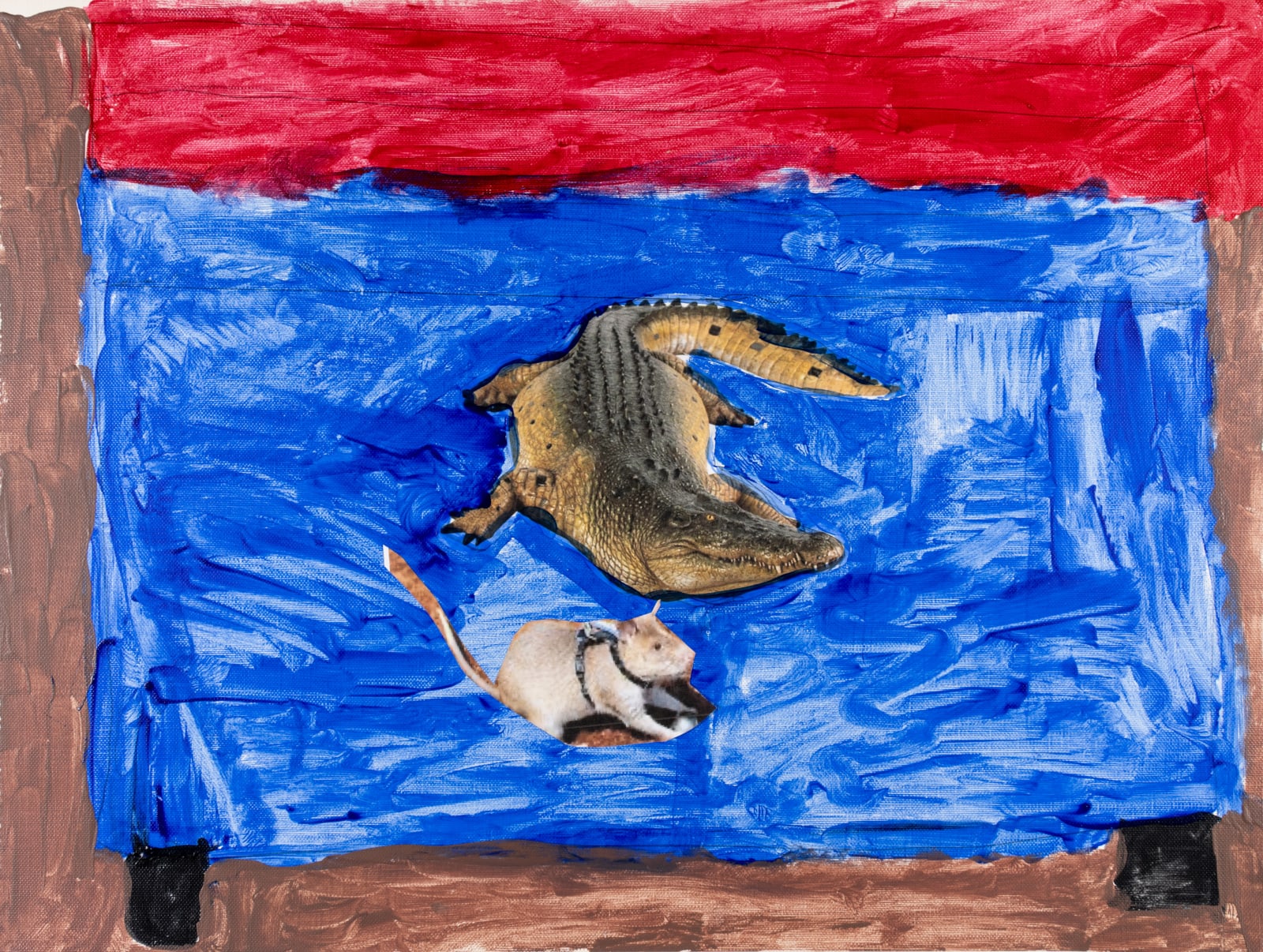 Jean Wilson, Alligator, 2025