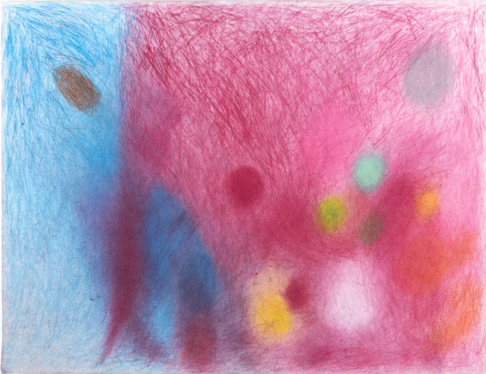 Susan Pasowicz, Wild Forest, 2025