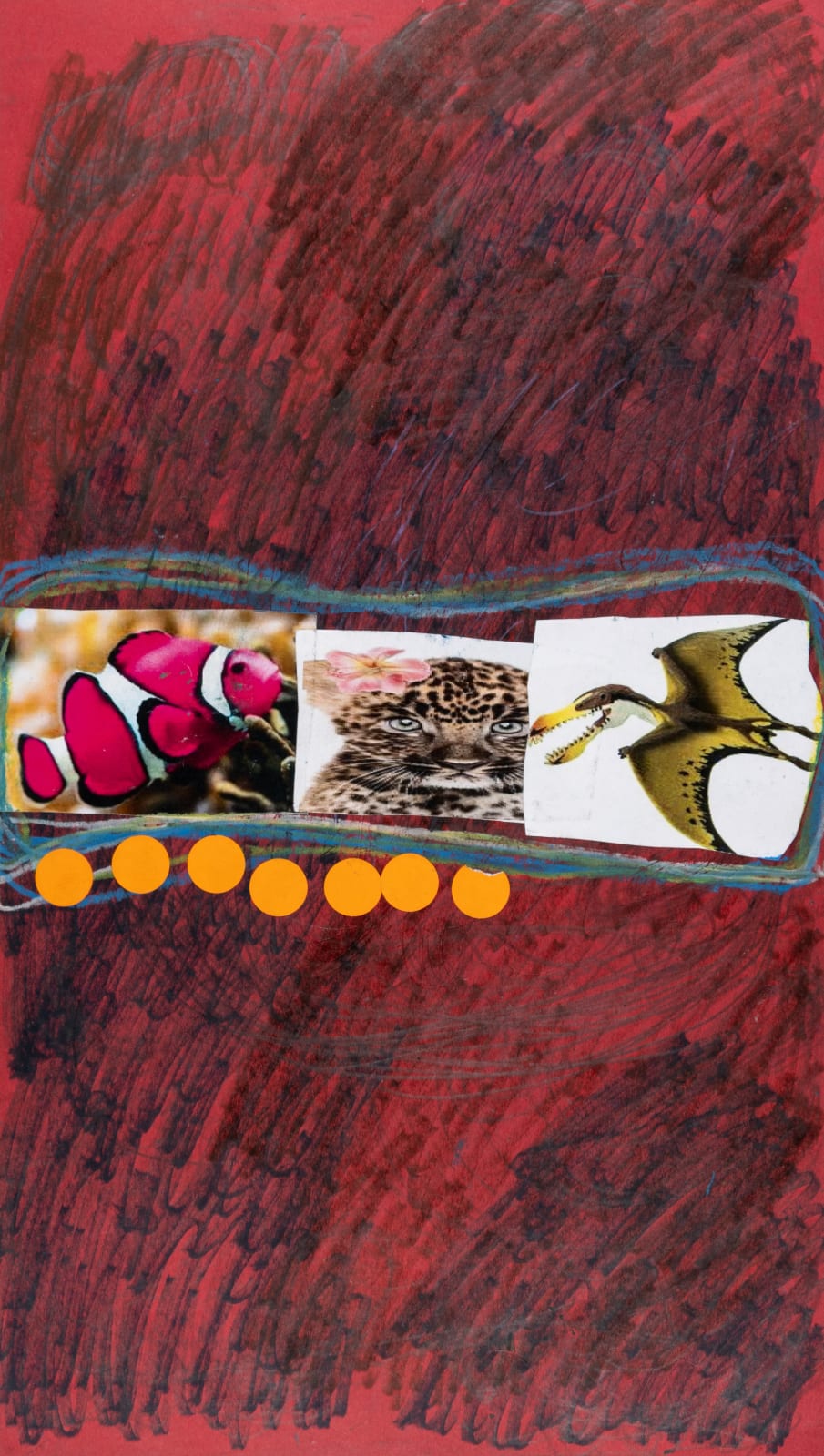 Lawrence M., Baby Pink White Clown Fish, 2025