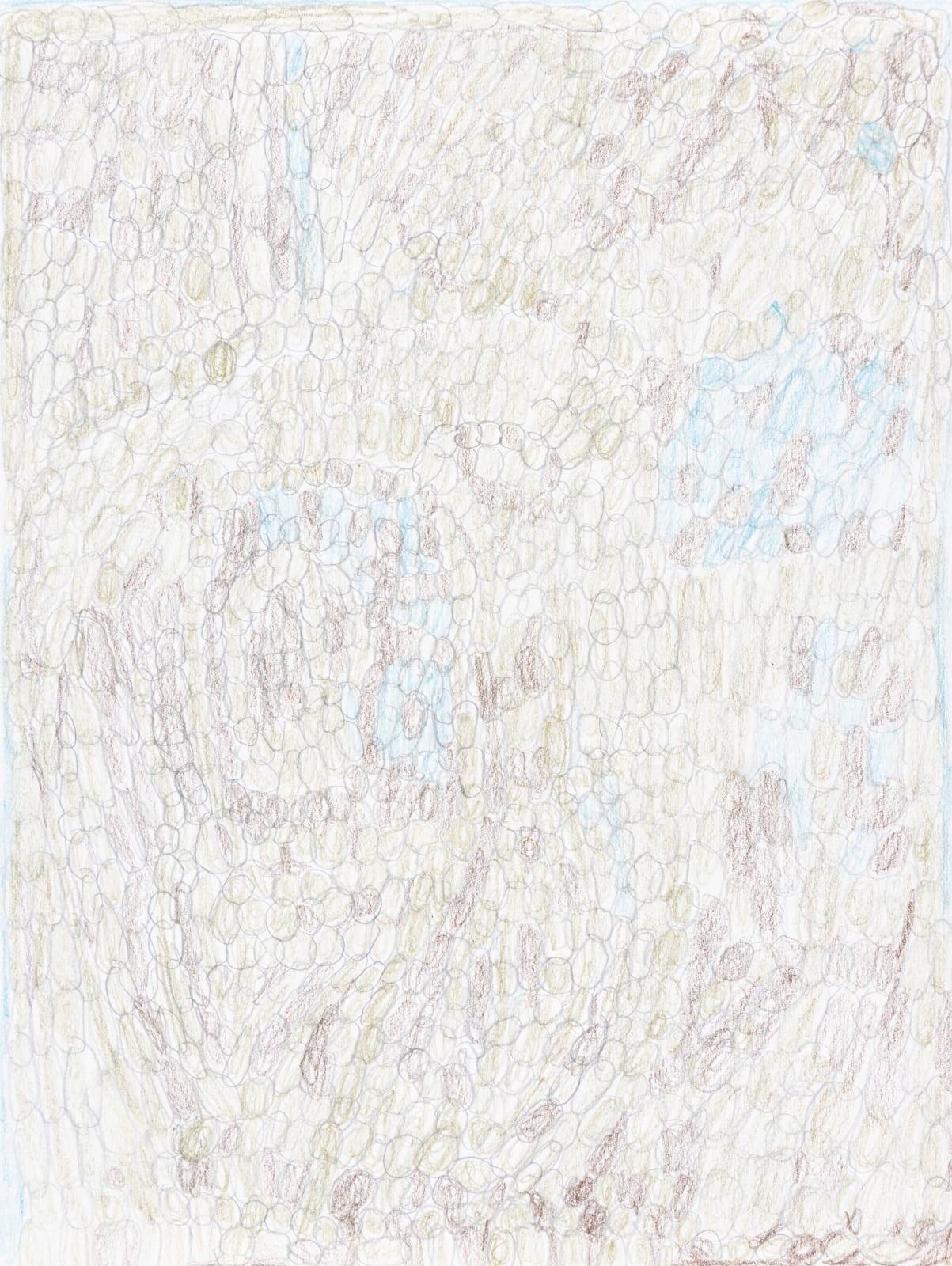 Lucy Walsh, Virginia, 2025