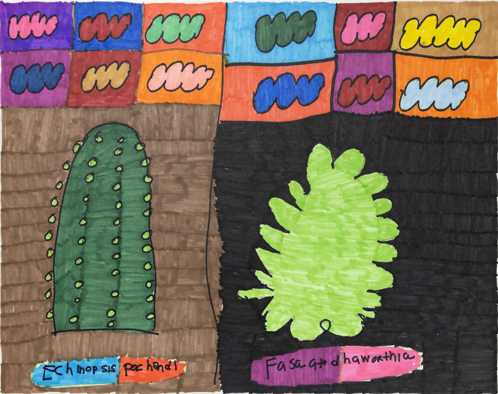 Maria Vanik, Echinopsis Pochanoi, Fasciated Hawthornia, 2021