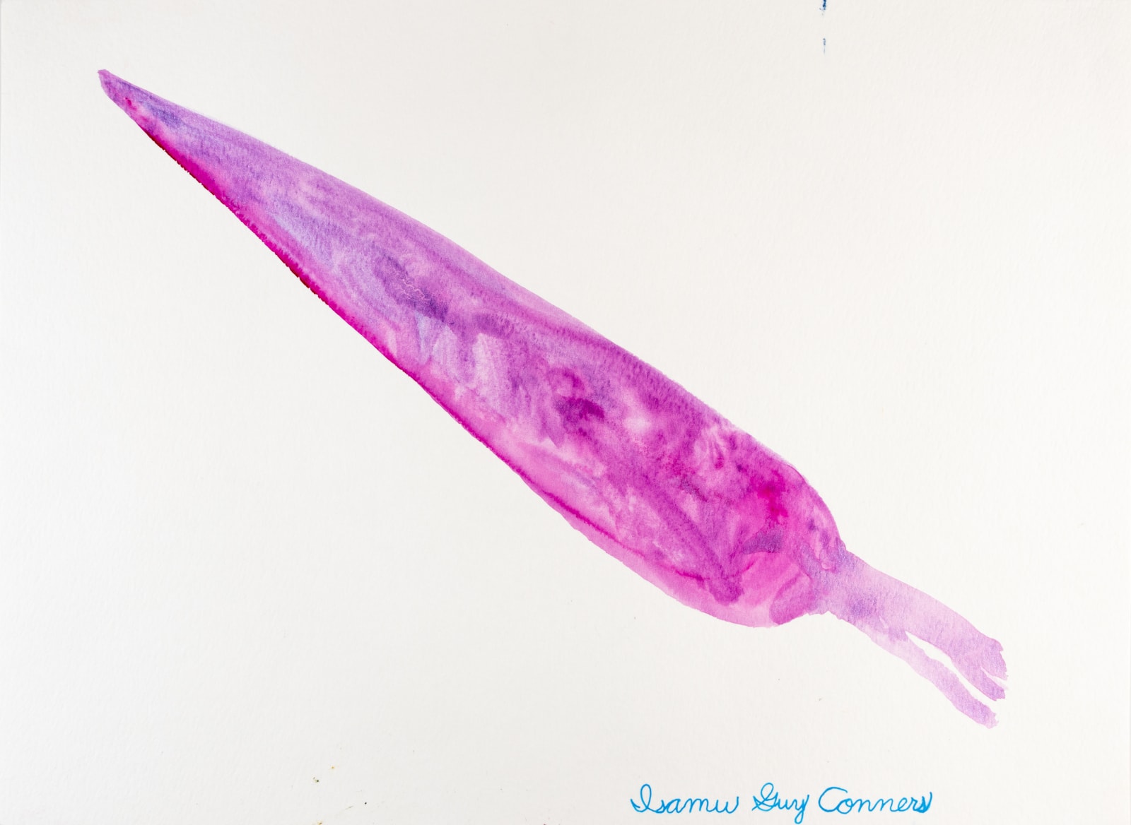 Isamu Guy Conners, Magenta Carrot , 2021