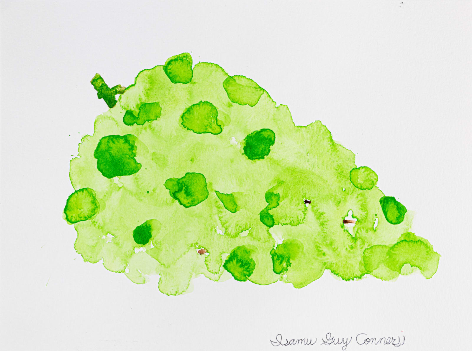 Isamu Guy Conners, White Grapes, 2023