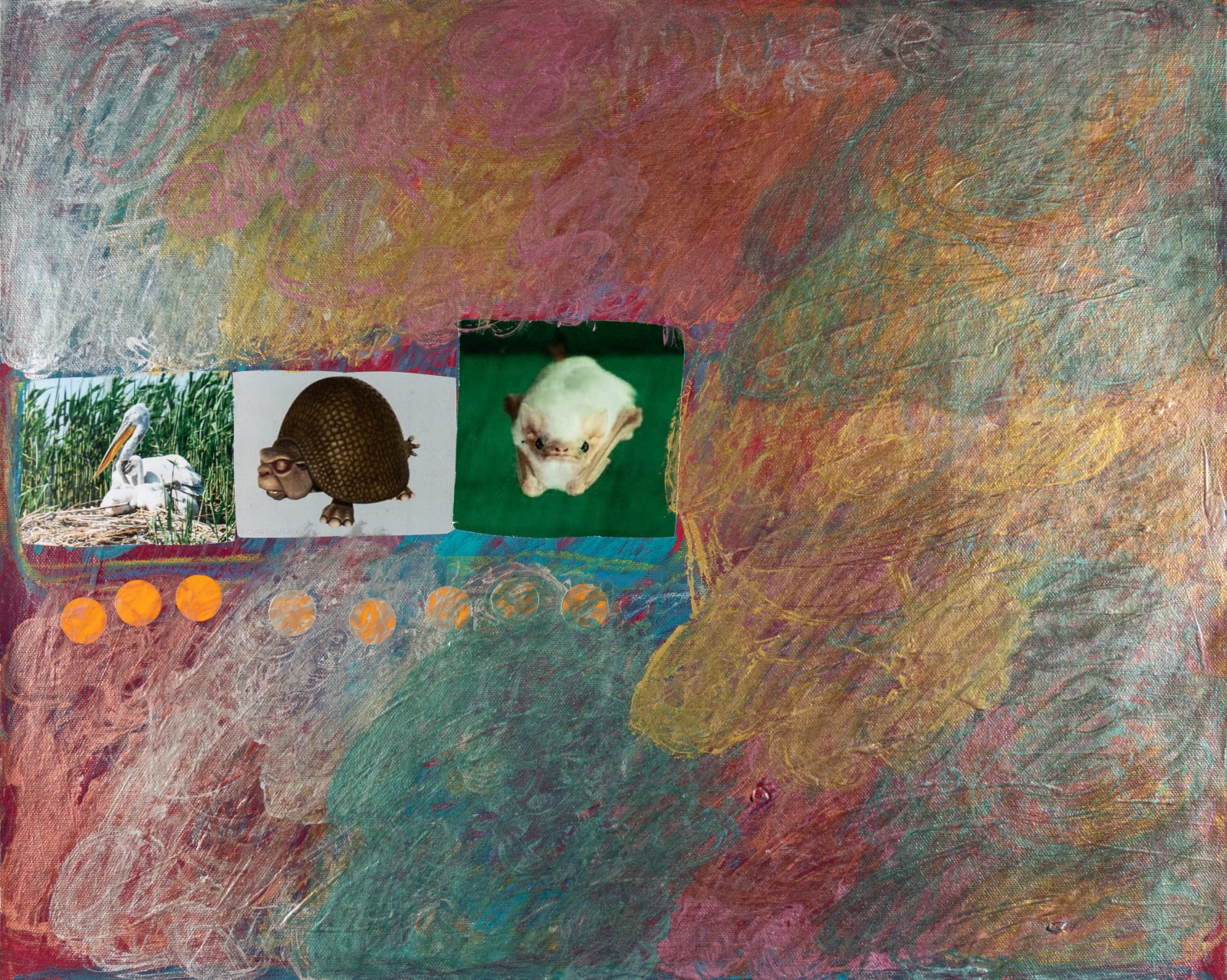 Lawrence M., Baby Green Pelican, 2025