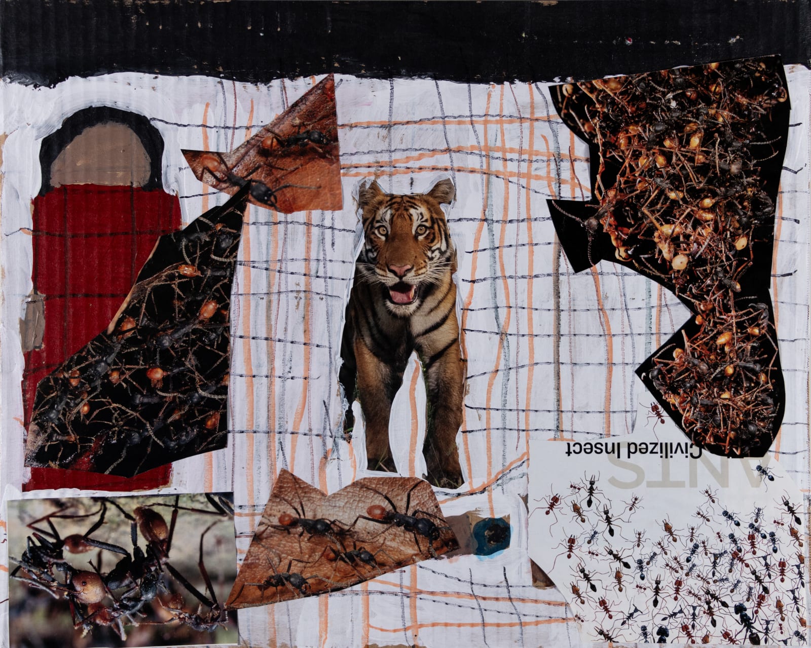Jean Wilson, Fire Ants Fighting with a Tiger, 2022