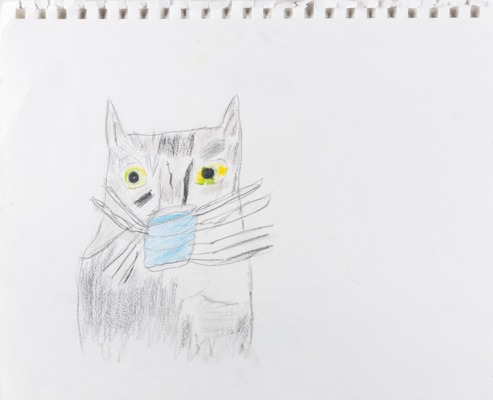 Carol Pyes, Cat with Mask, 2020