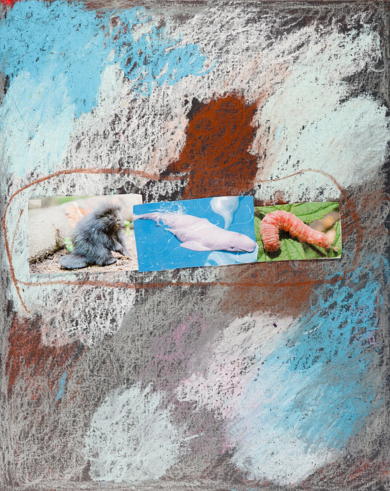 Lawrence M., Pink Beluga Pink Whale, 2022