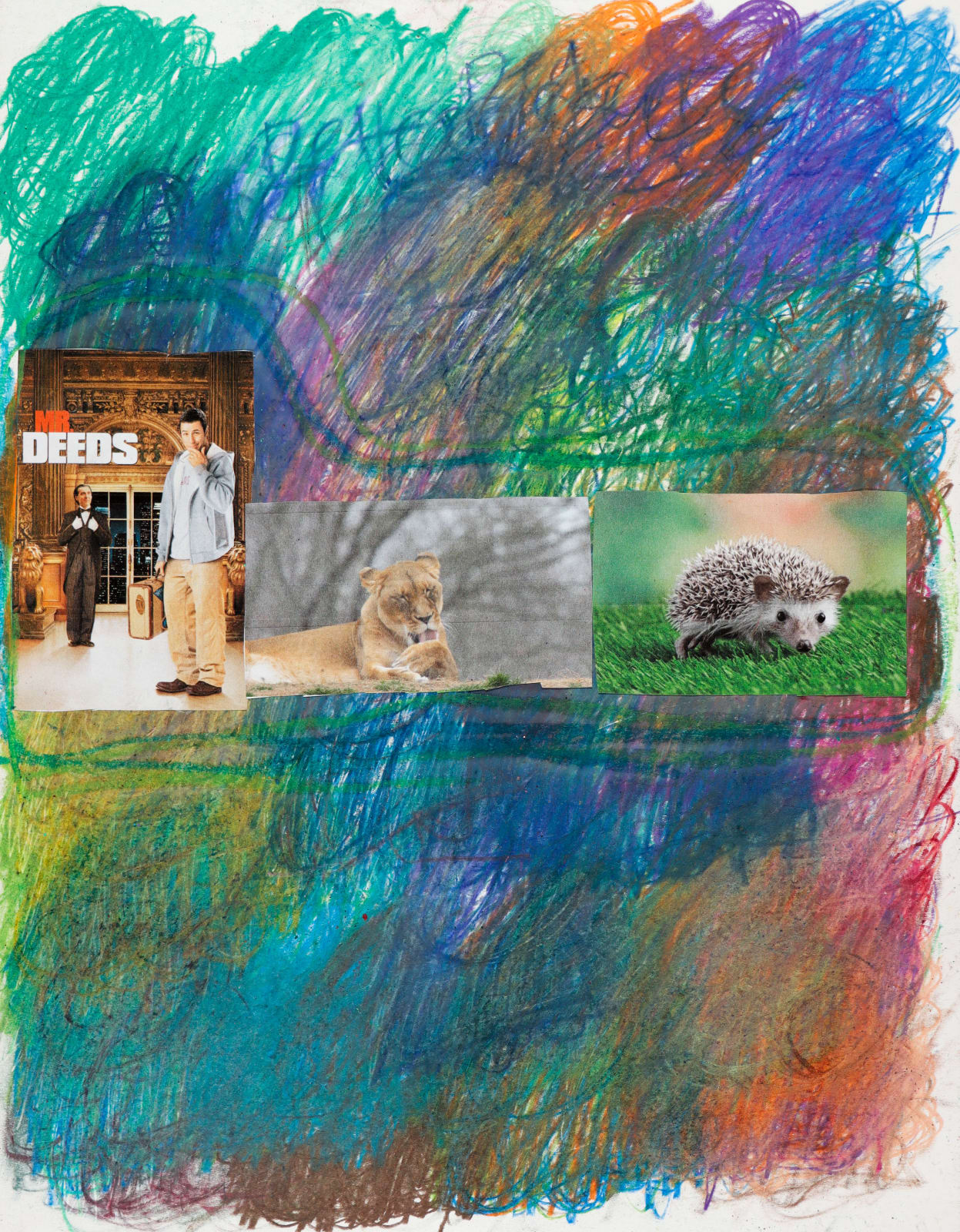 Lawrence M., Baby Green Porcupine, n.d.