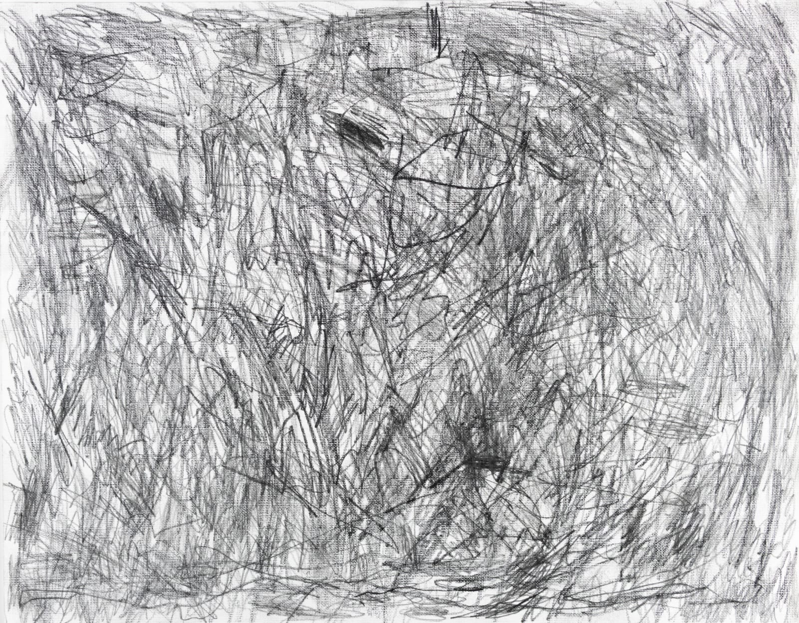 Sam Filicky, Graphite, 2024
