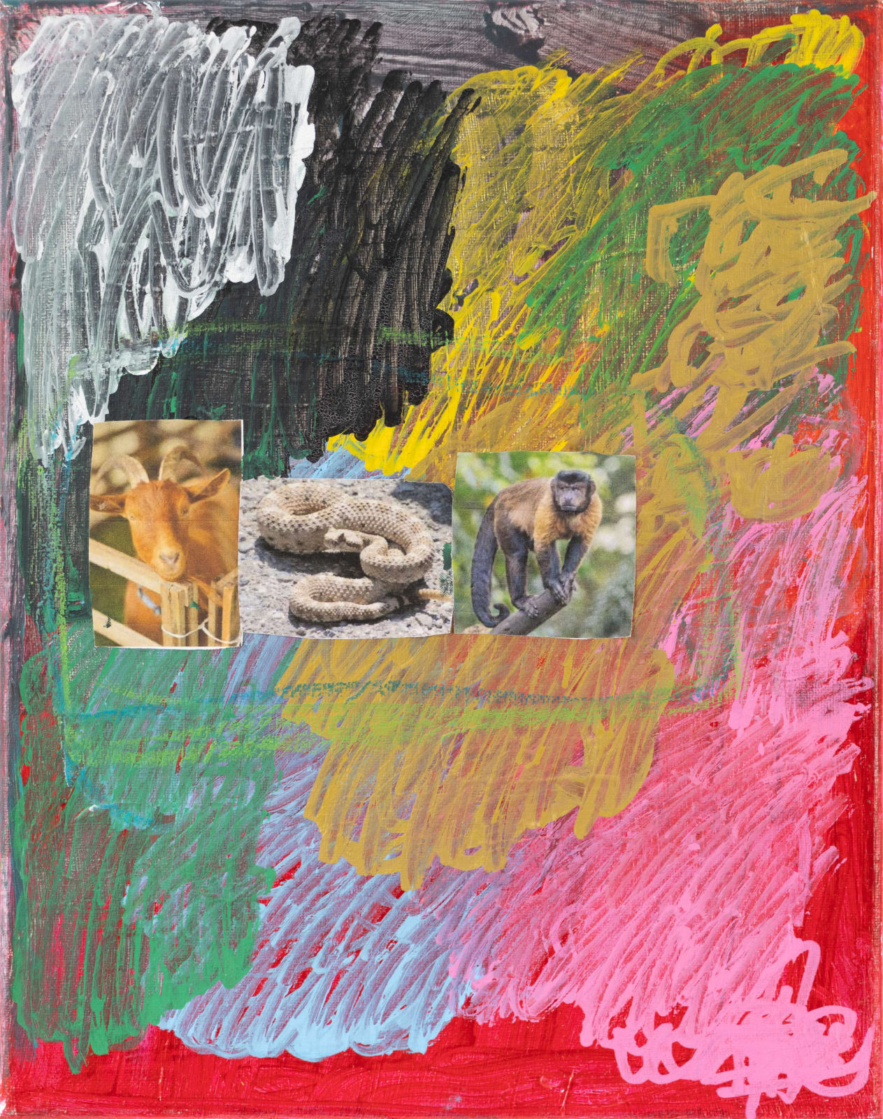 Lawrence M., Brown Rattlesnake , 2023
