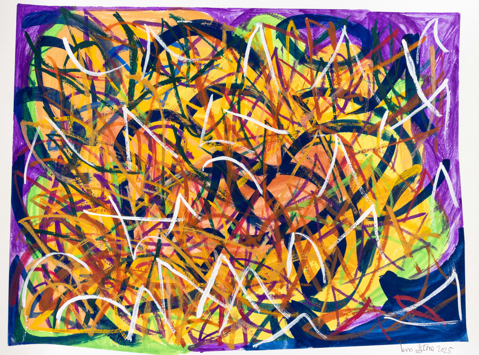 Tim Stone, Colorful New Zealand, 2025