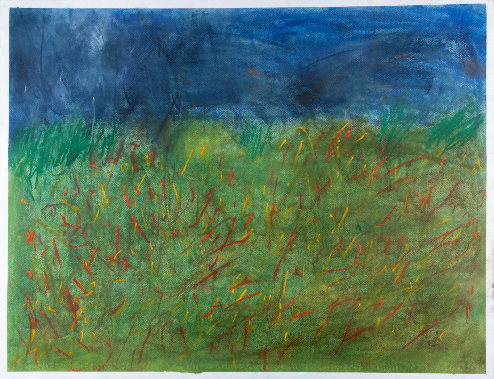 Chris Viau, Late Summer Flowers , 2023