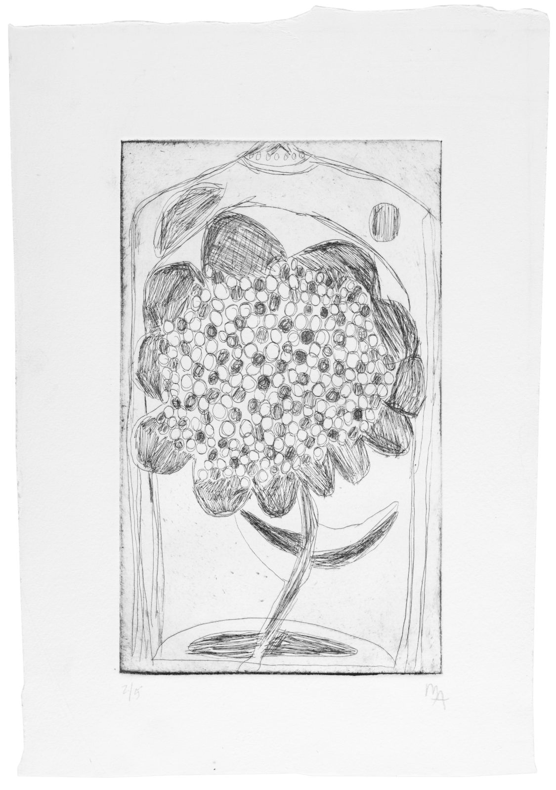 Marcelo Añón, Untitled (Flower), n.d.