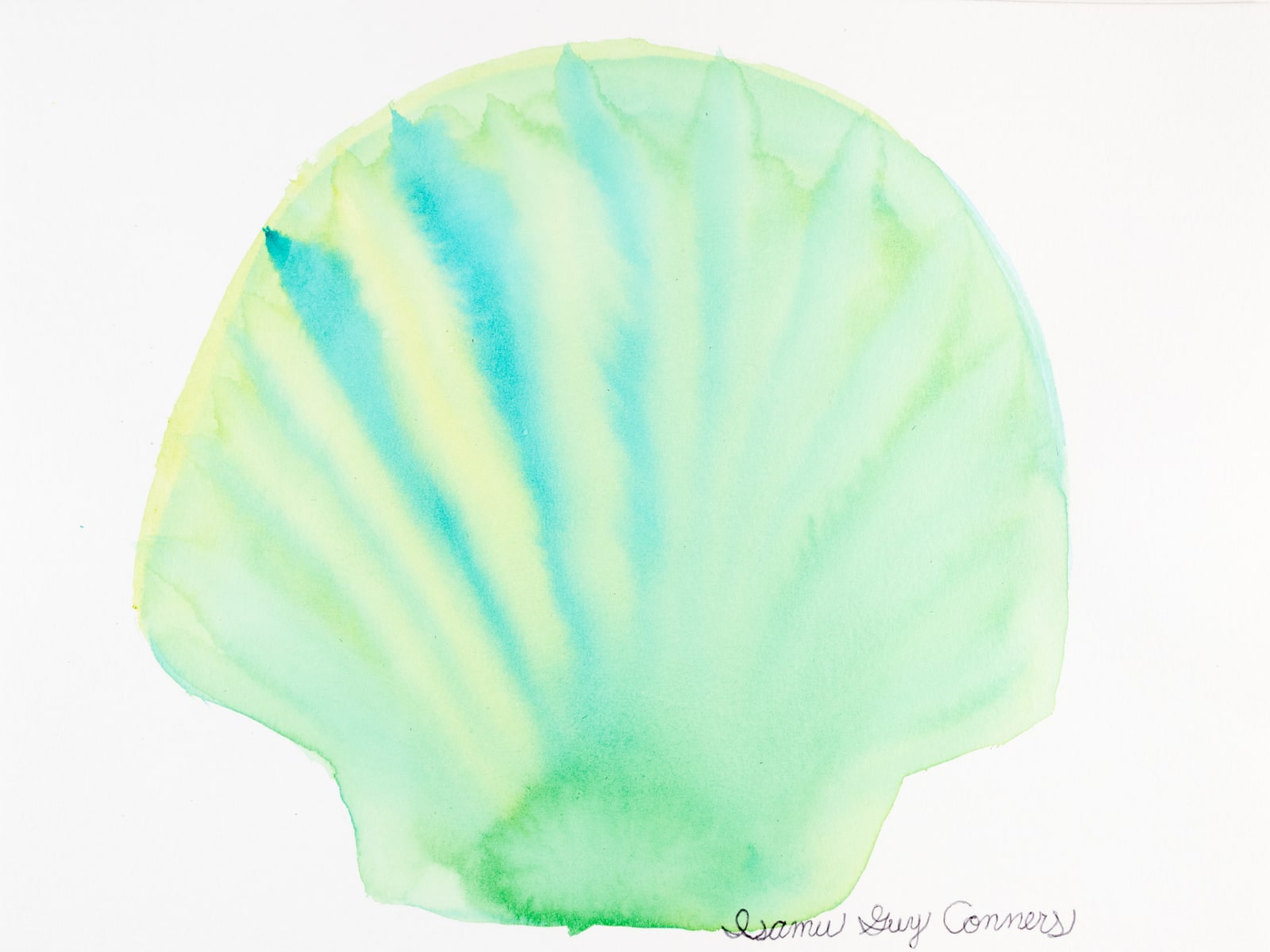 Isamu Guy Conners, Untitled (Green Seashell), n.d.