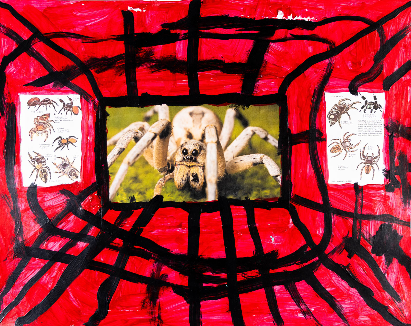 Jean Wilson, Spider, 2022