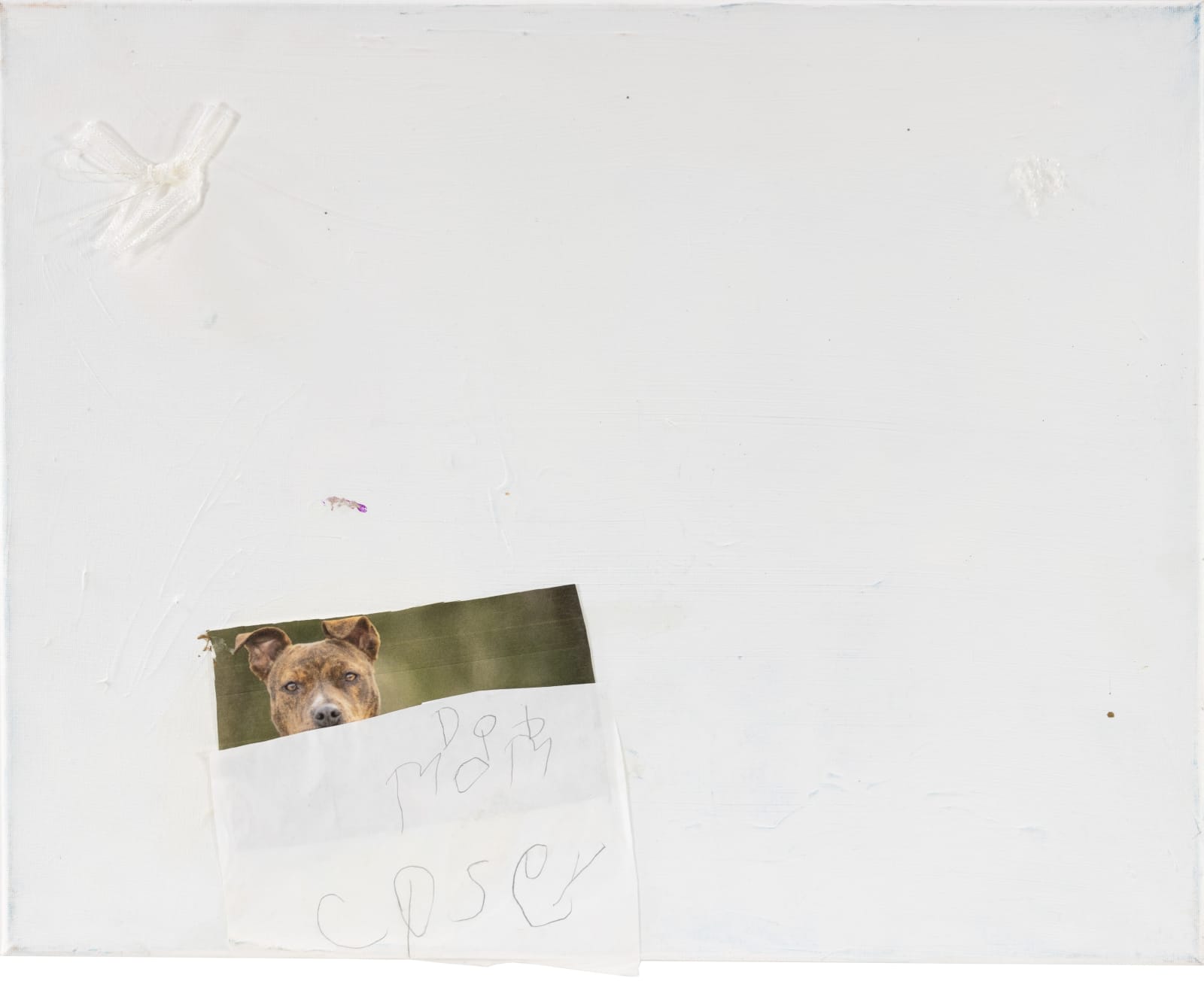 Casey Chrzan, Untitled, 2024