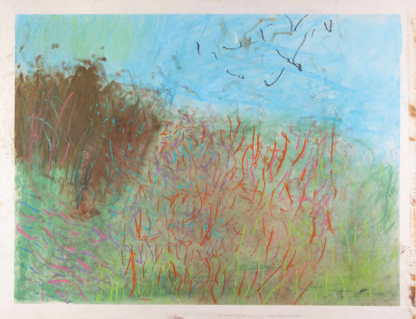 Chris Viau, Flowers on the Mountain, 2023