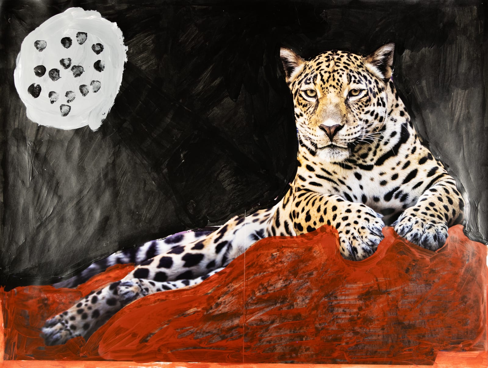 Jean Wilson, The Cougar, 2023