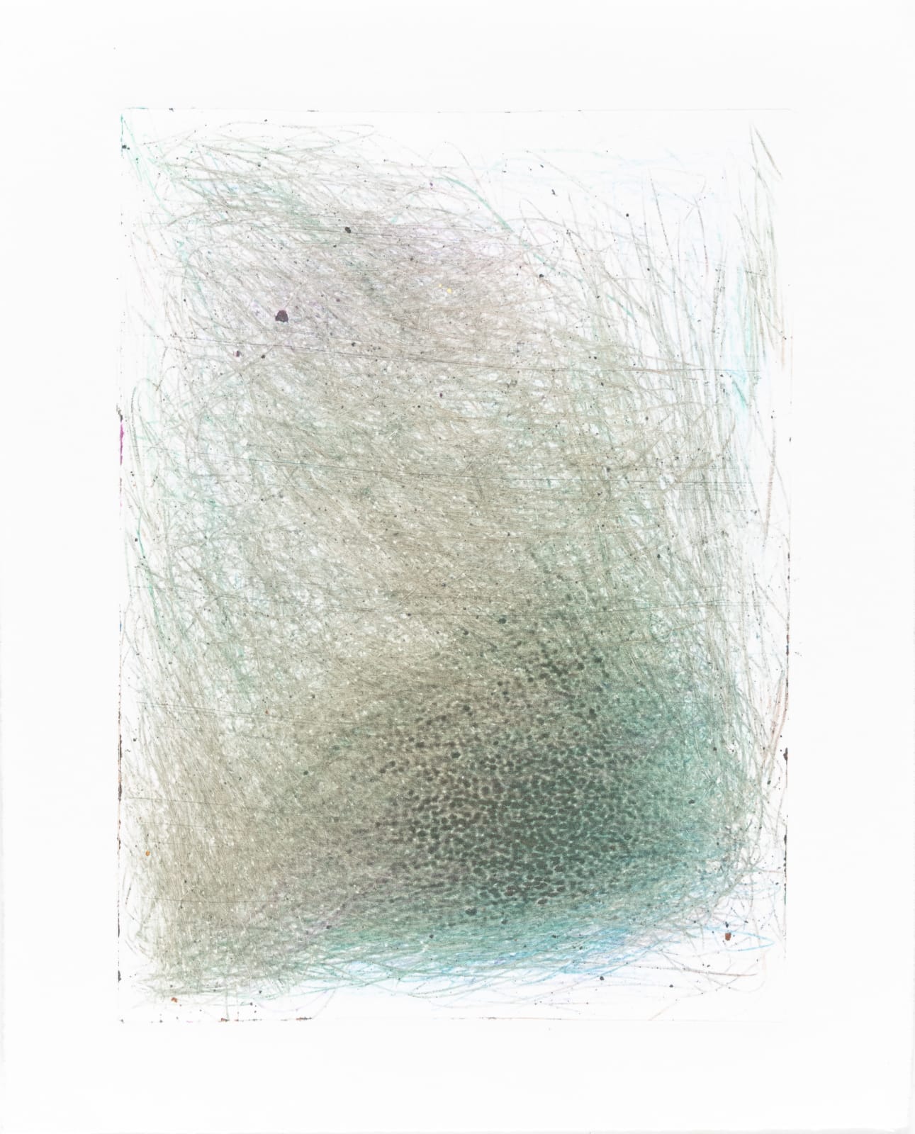 Susan Pasowicz, Untitled, 2024