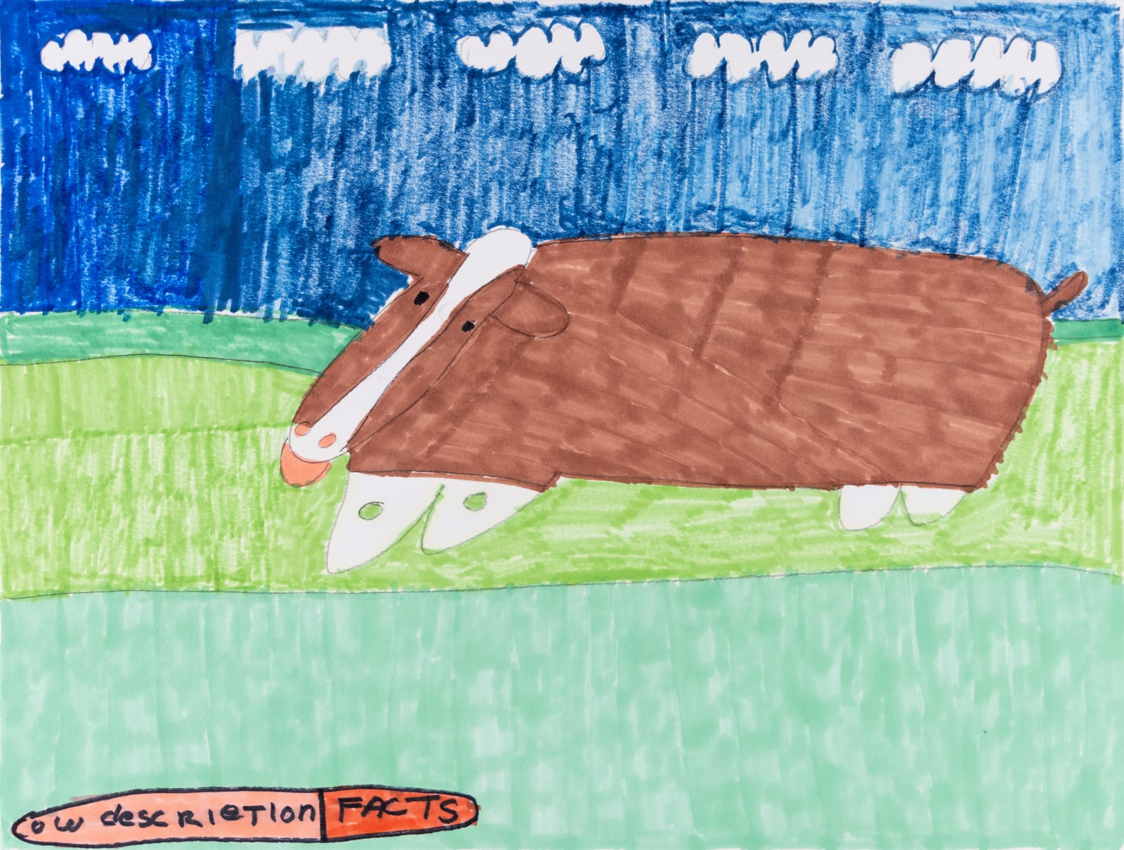 Maria Vanik, Cow Description Facts , 2021
