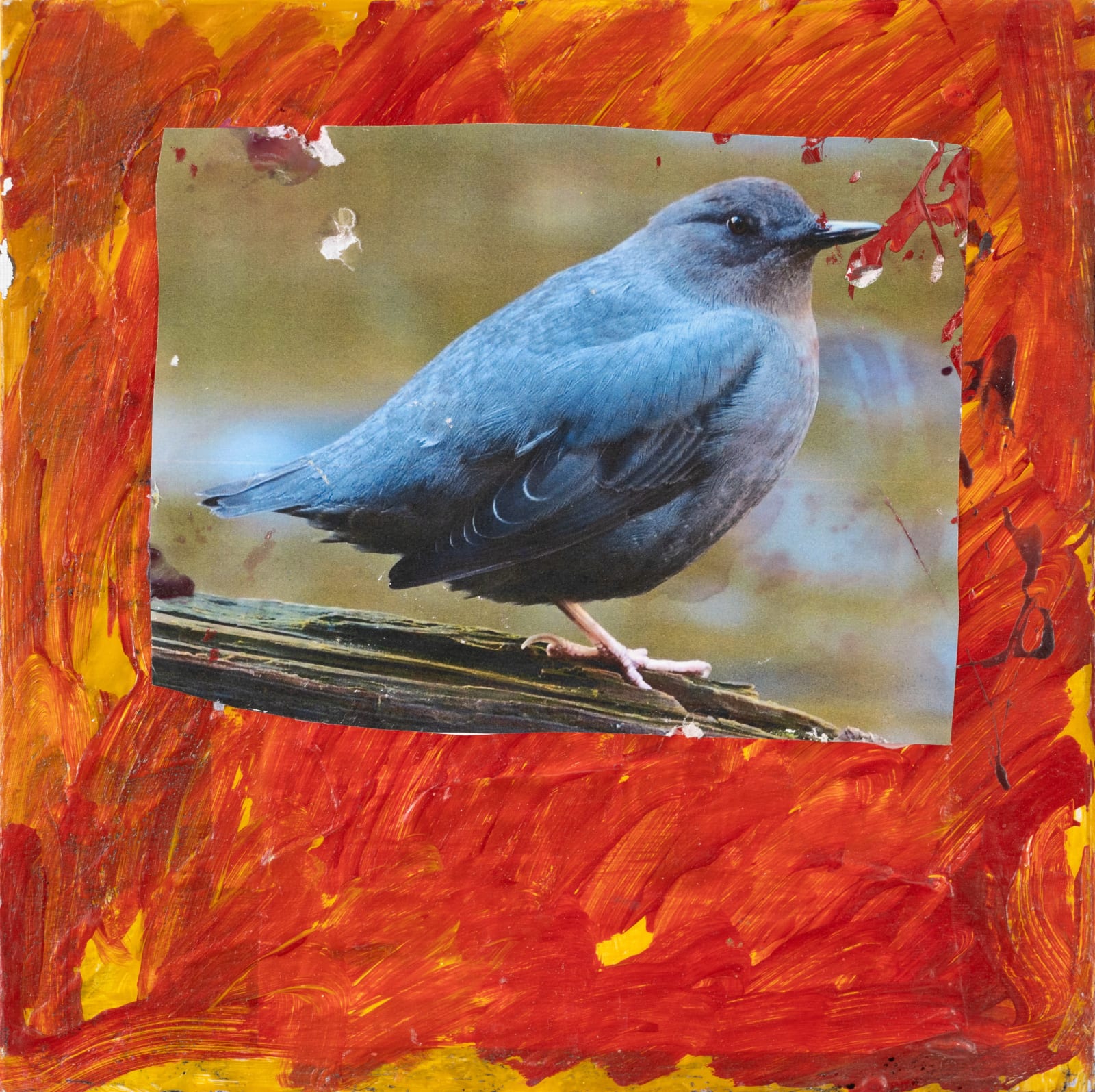 Lawrence M., Untitled (Blue bird), n.d.