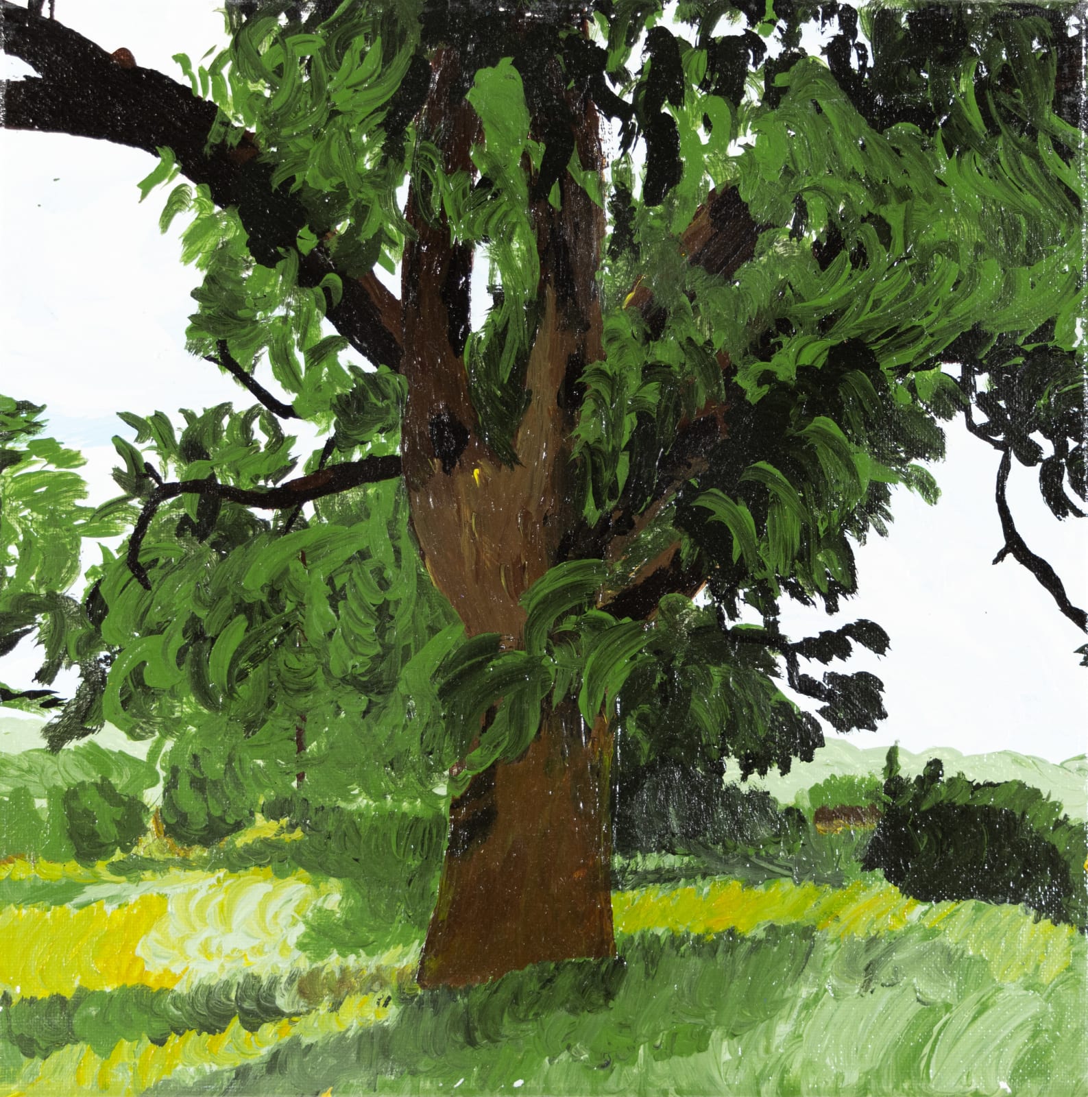 Isamu Guy Conners, Trees, 2019